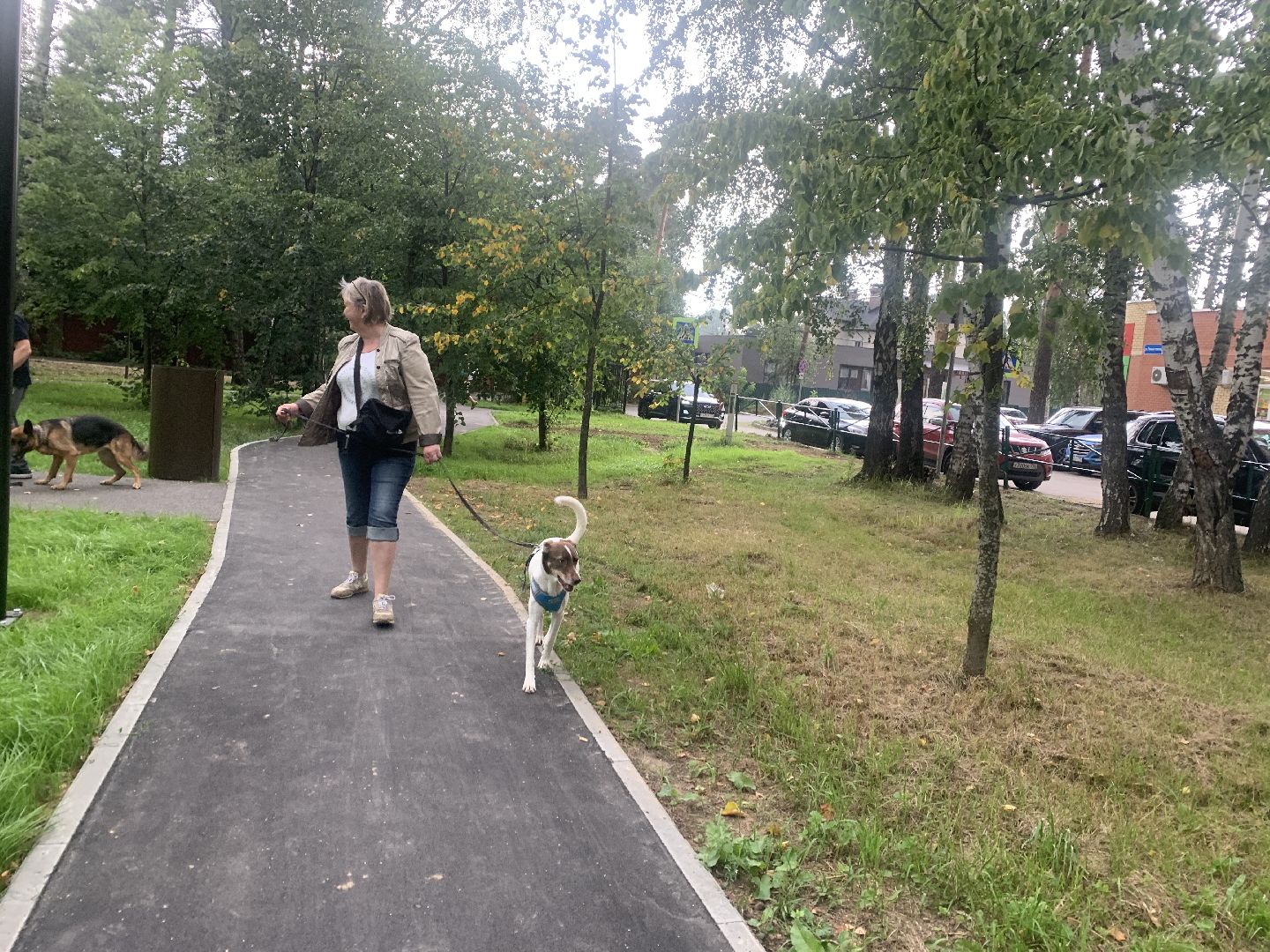 Балашиха, Подмосковье, благоустройство, берёзовая роща, сквер, день флага России, спортплощадка