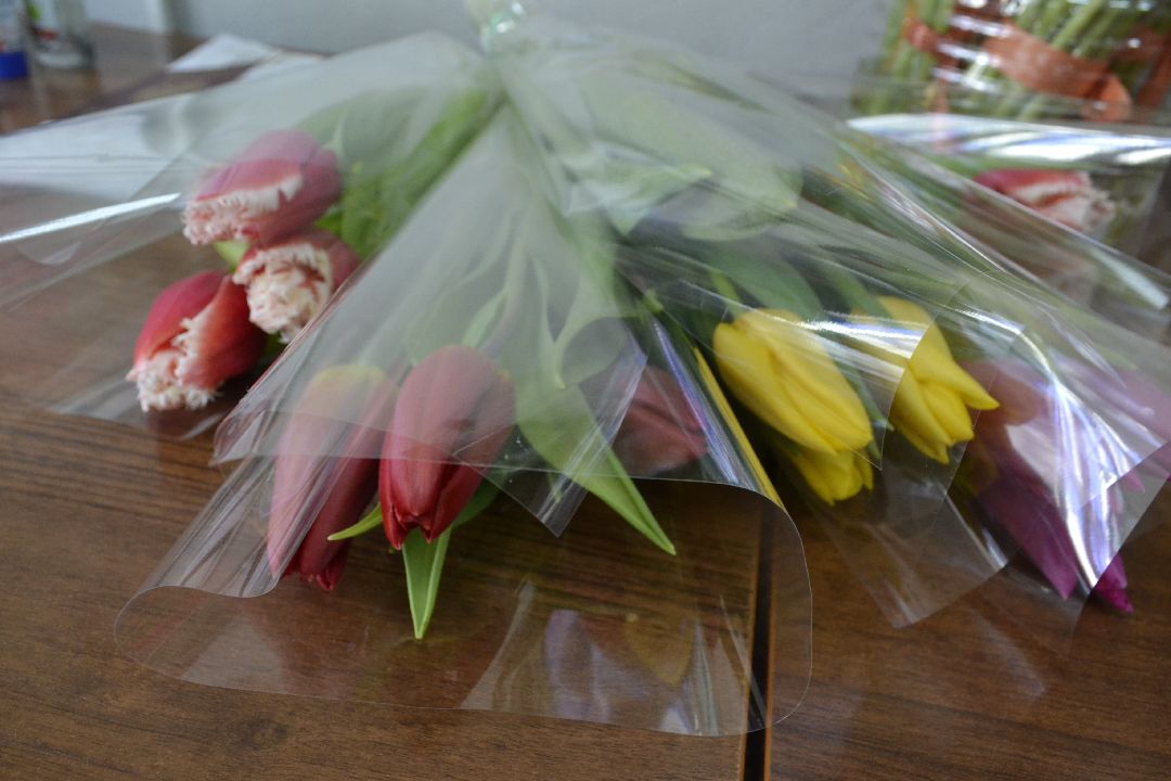 Балашиха, Подмосковье, концерт, 8 марта, Дмитрий Маликов