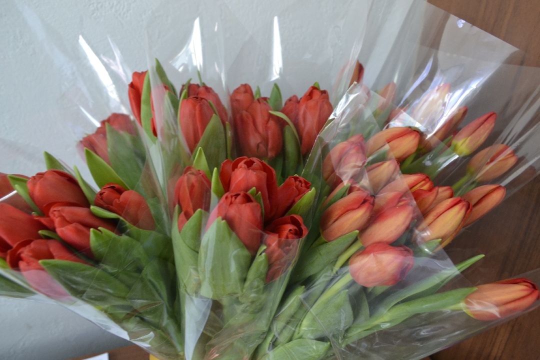 Балашиха, Подмосковье, концерт, 8 марта, Дмитрий Маликов