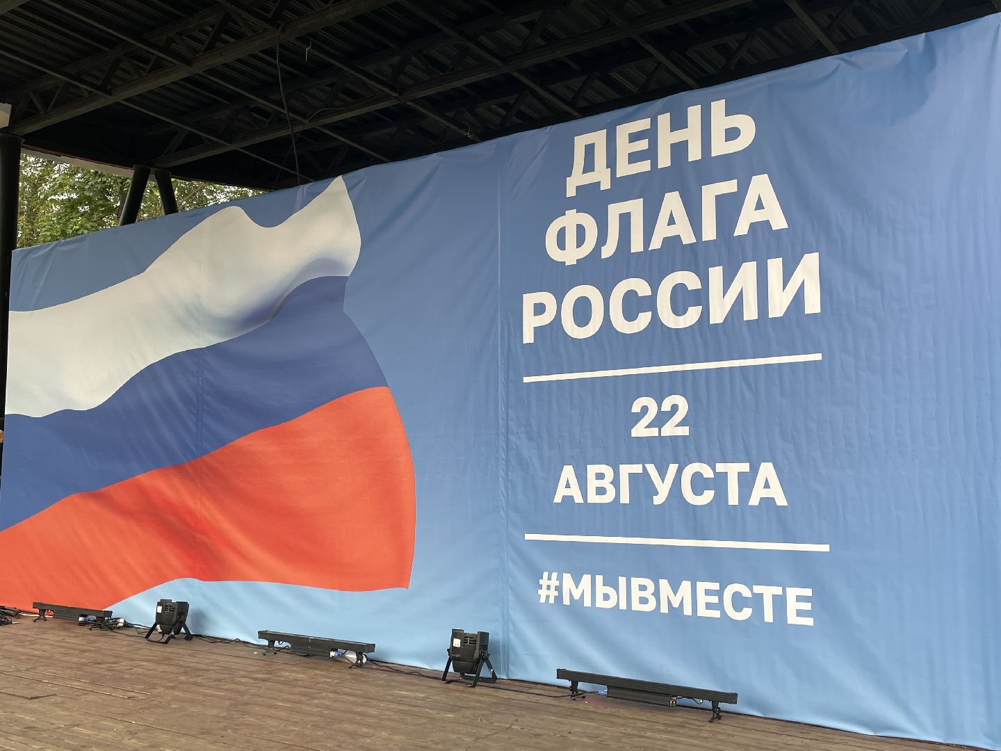 Концерт, танцы, медведь, волонтеры