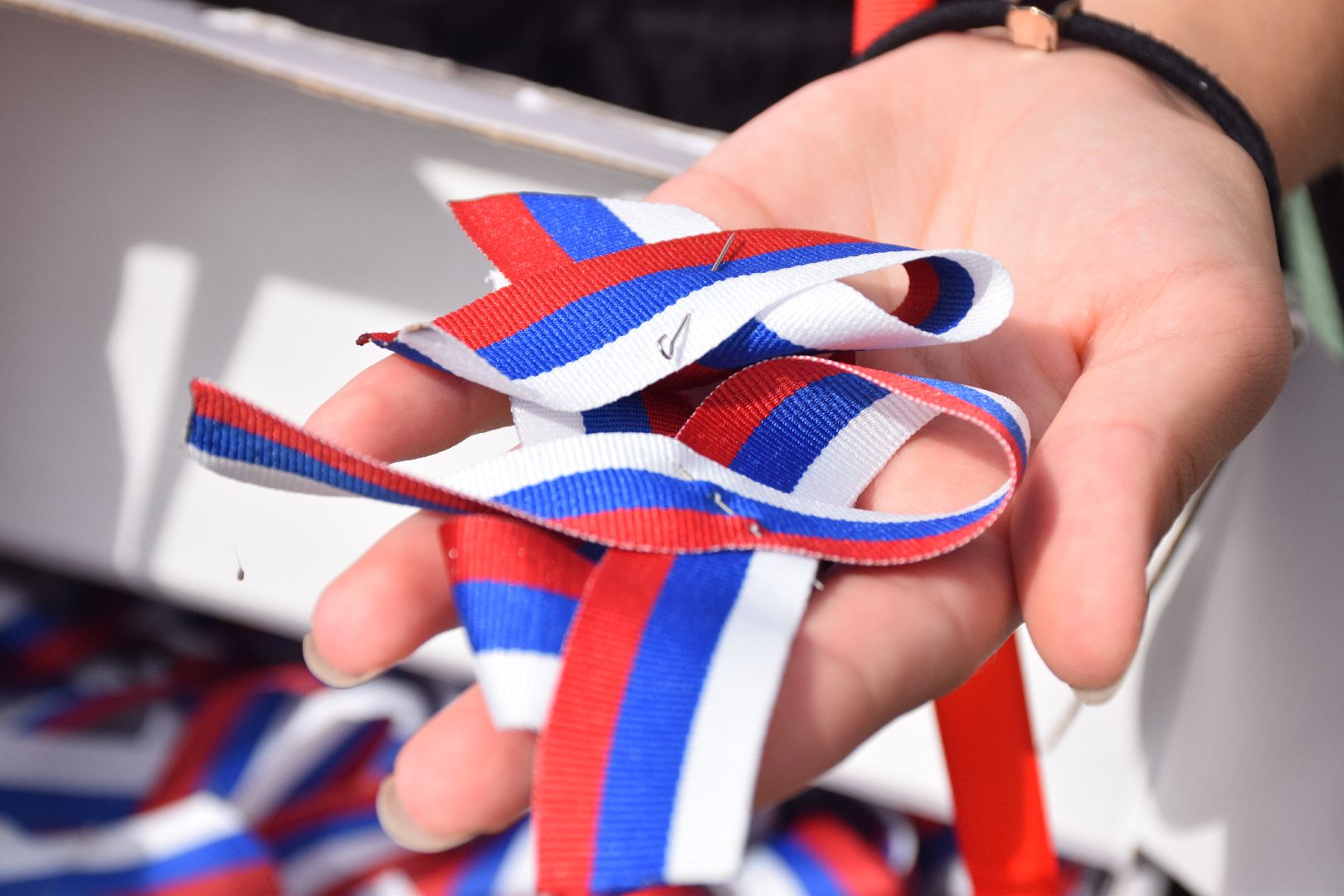 Павловский Посад, городской округ Павловский Посад, люди, парк, волонтёры, летны, флаг, праздник