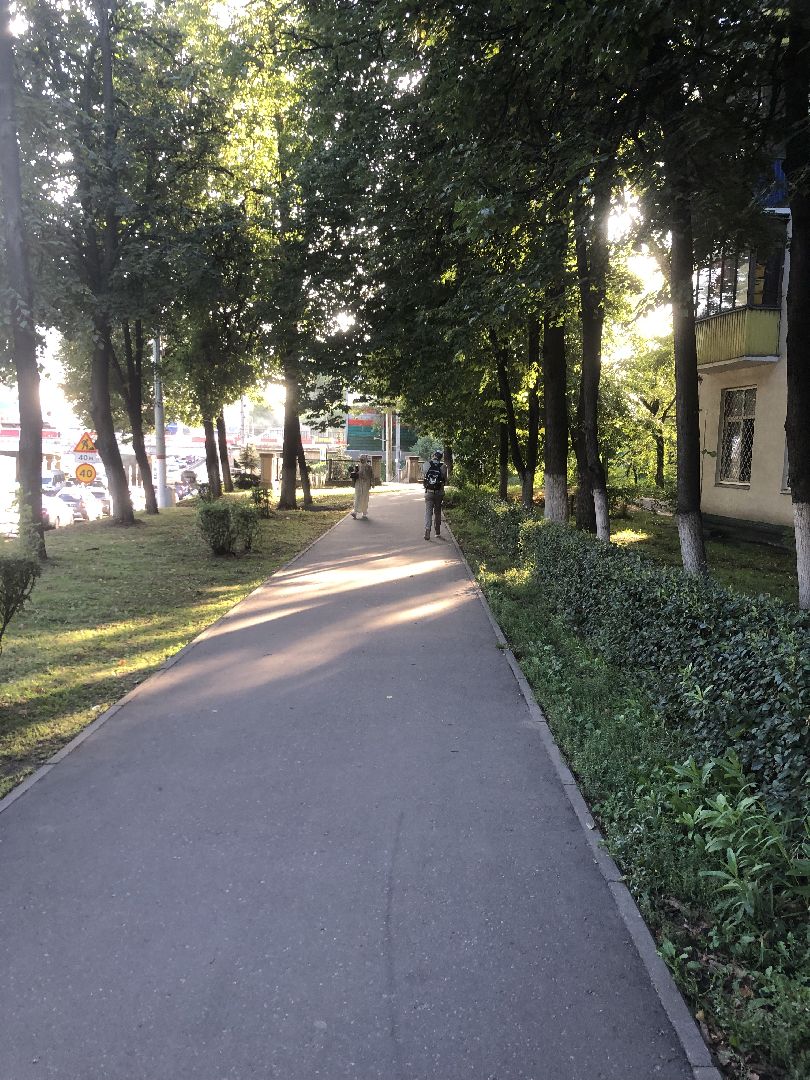 Дворы, Химки, губернатор подмосковья,