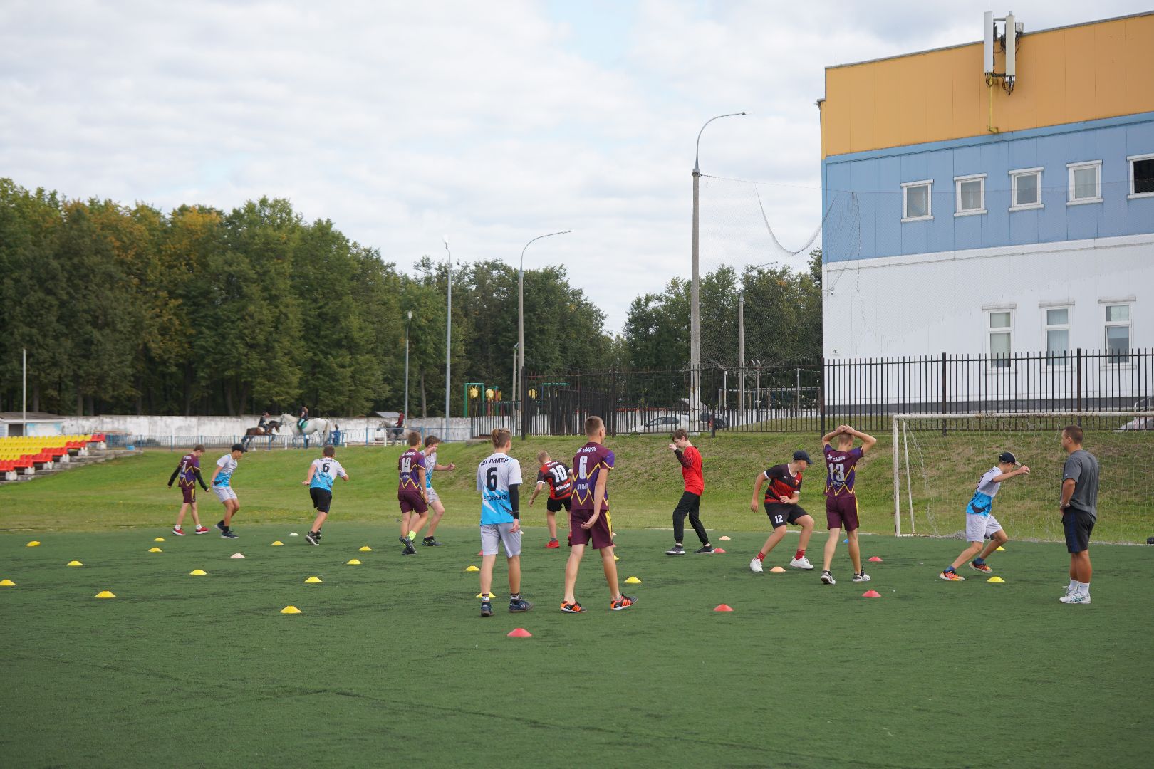 егорьевск, подмосковье, спорт, гандбол,