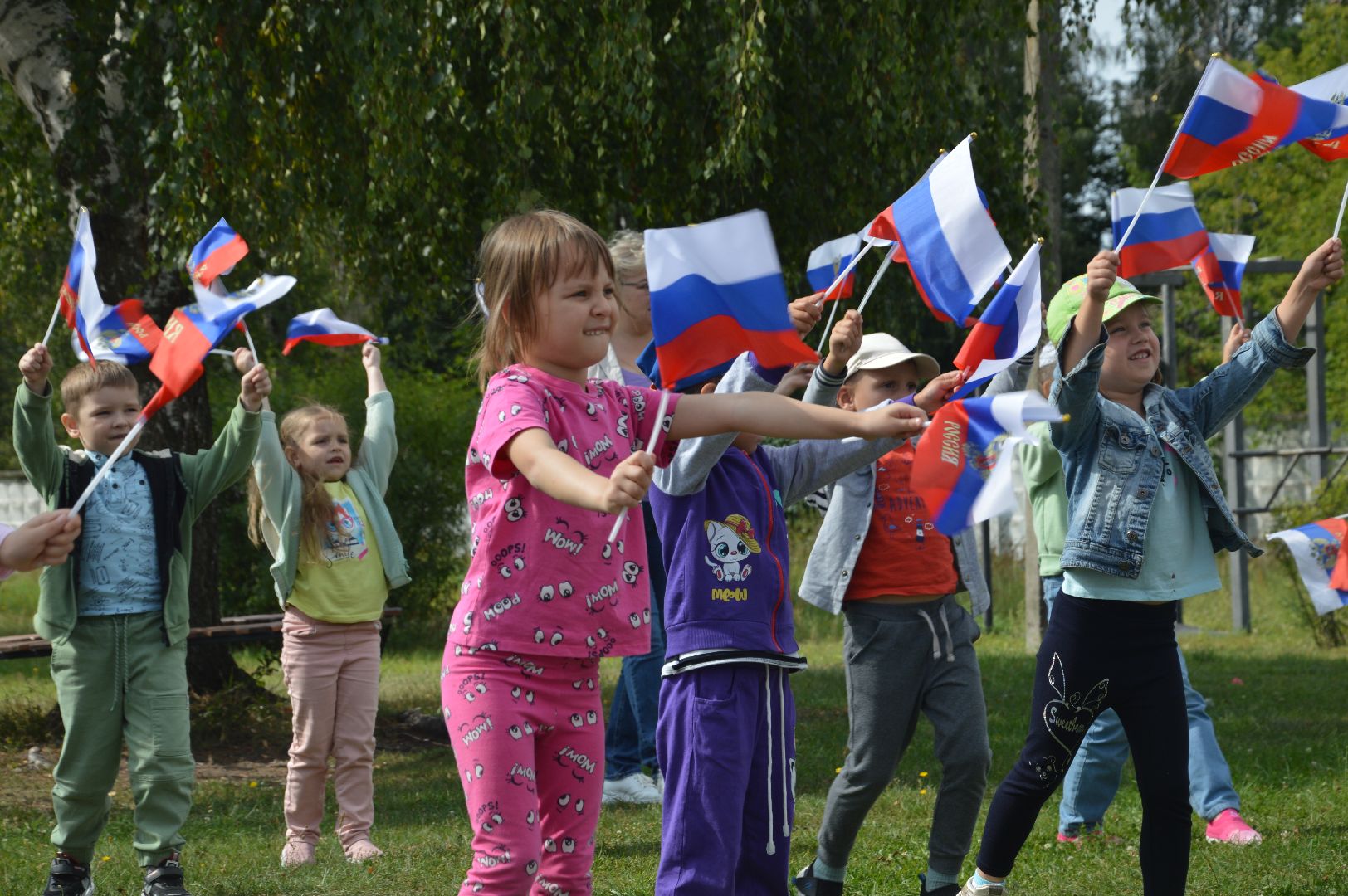 Шатура, Петровское, Российский флаг, #триколор
