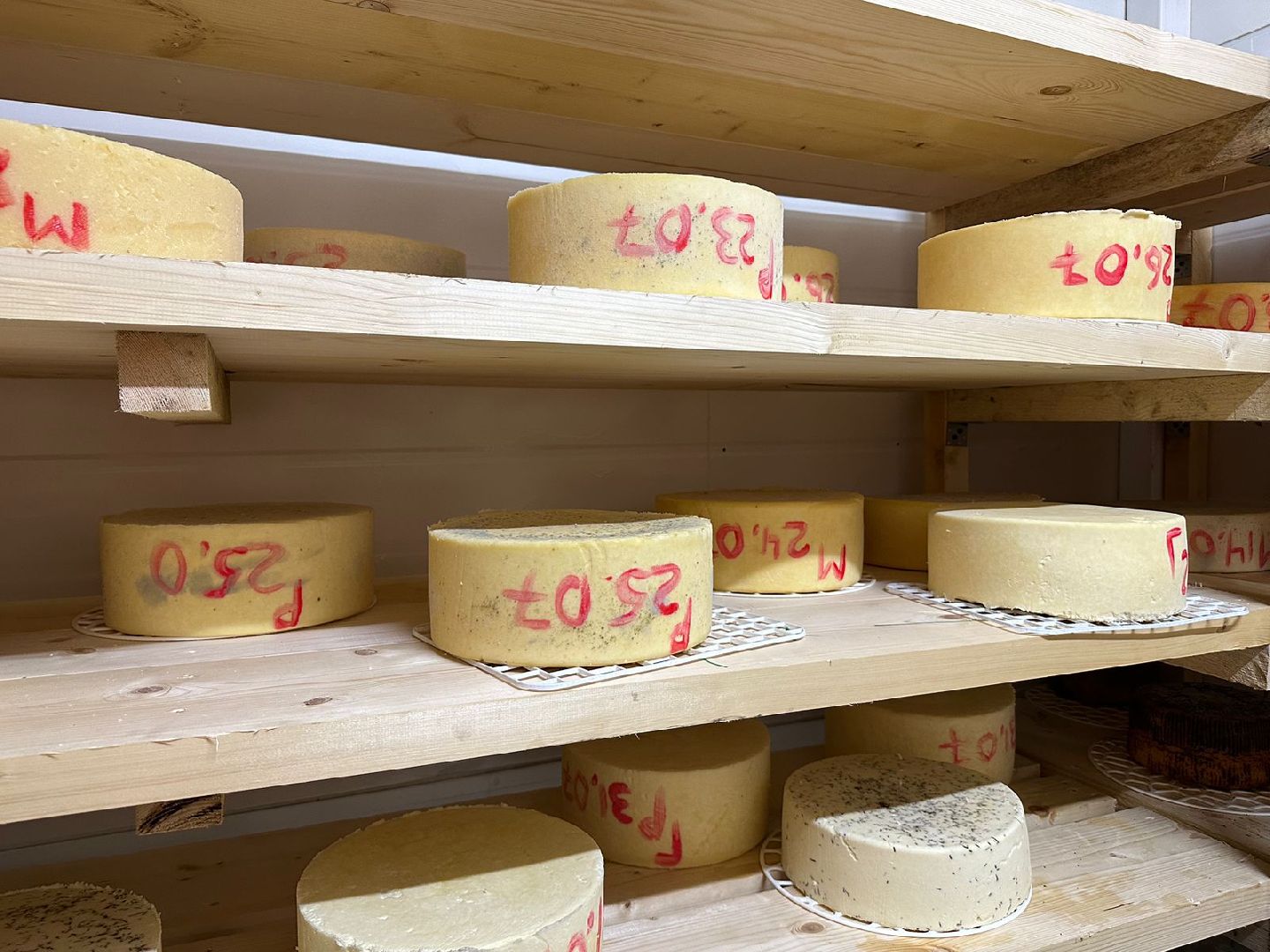 Фермеры Подмосковья, сыроварня в Наро-Фоминске