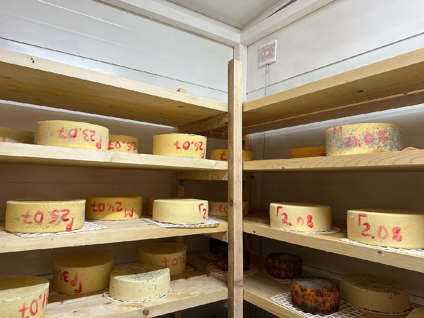 Фермеры Подмосковья, сыроварня в Наро-Фоминске