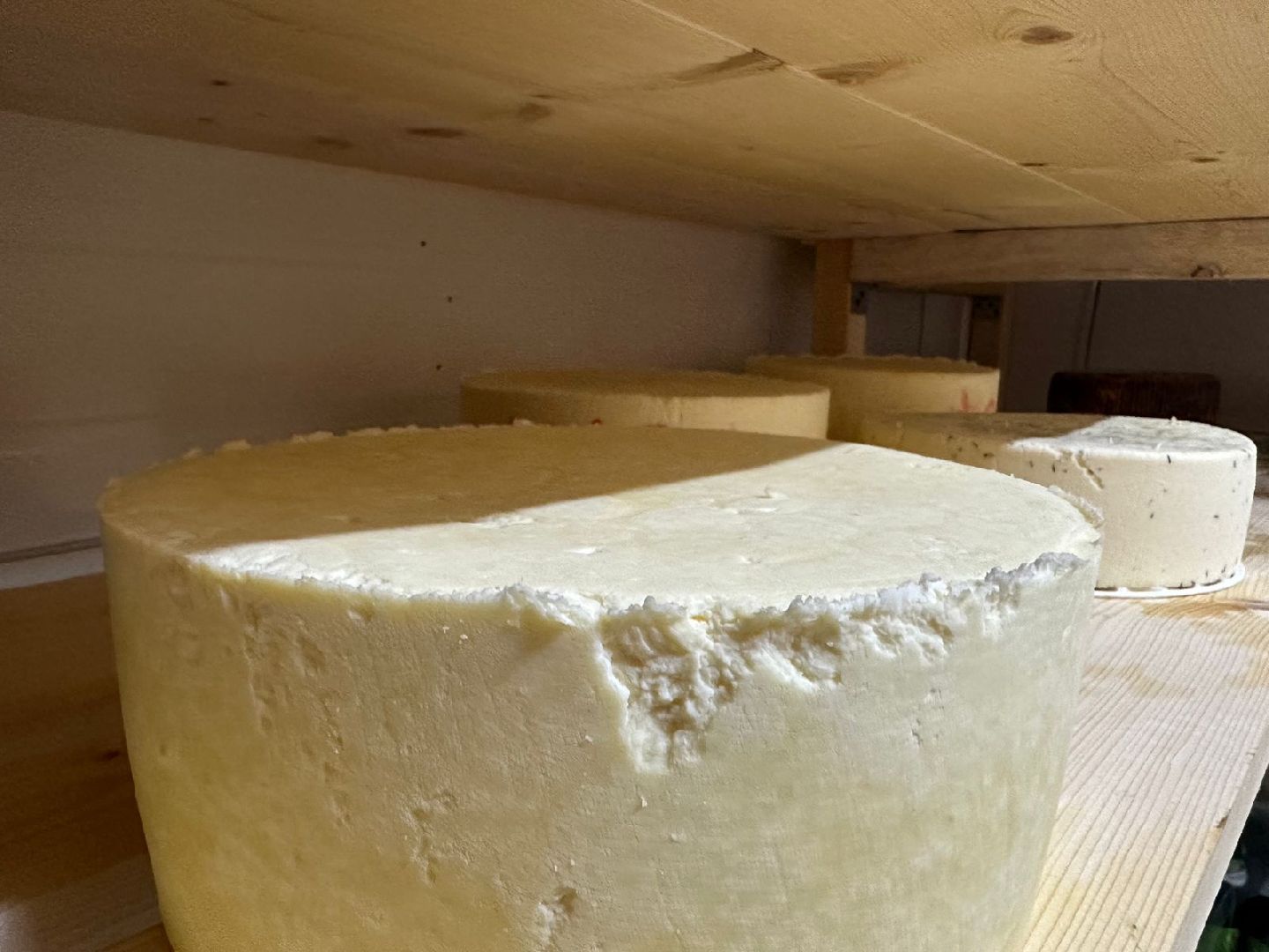 Фермеры Подмосковья, сыроварня в Наро-Фоминске