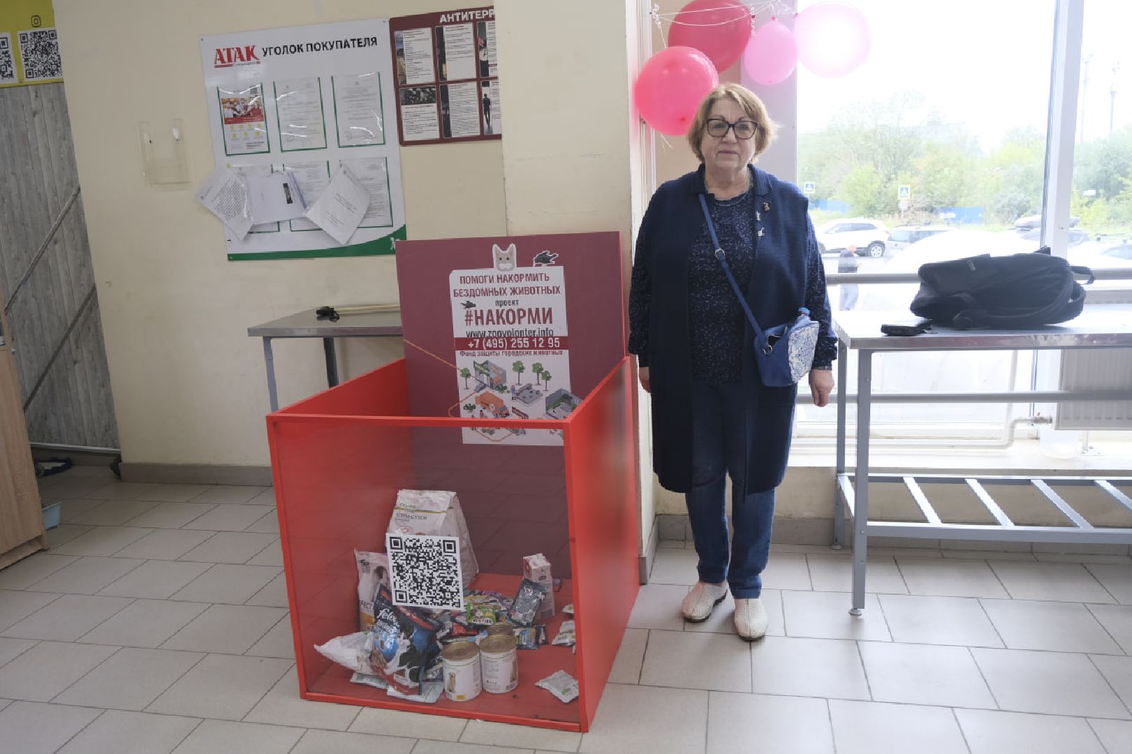 Пущино, кошки