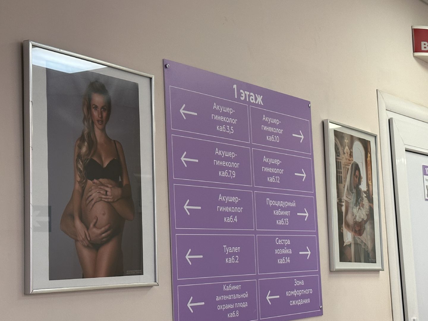 Одинцово, Картины в дар, Медицина, Фотосессии