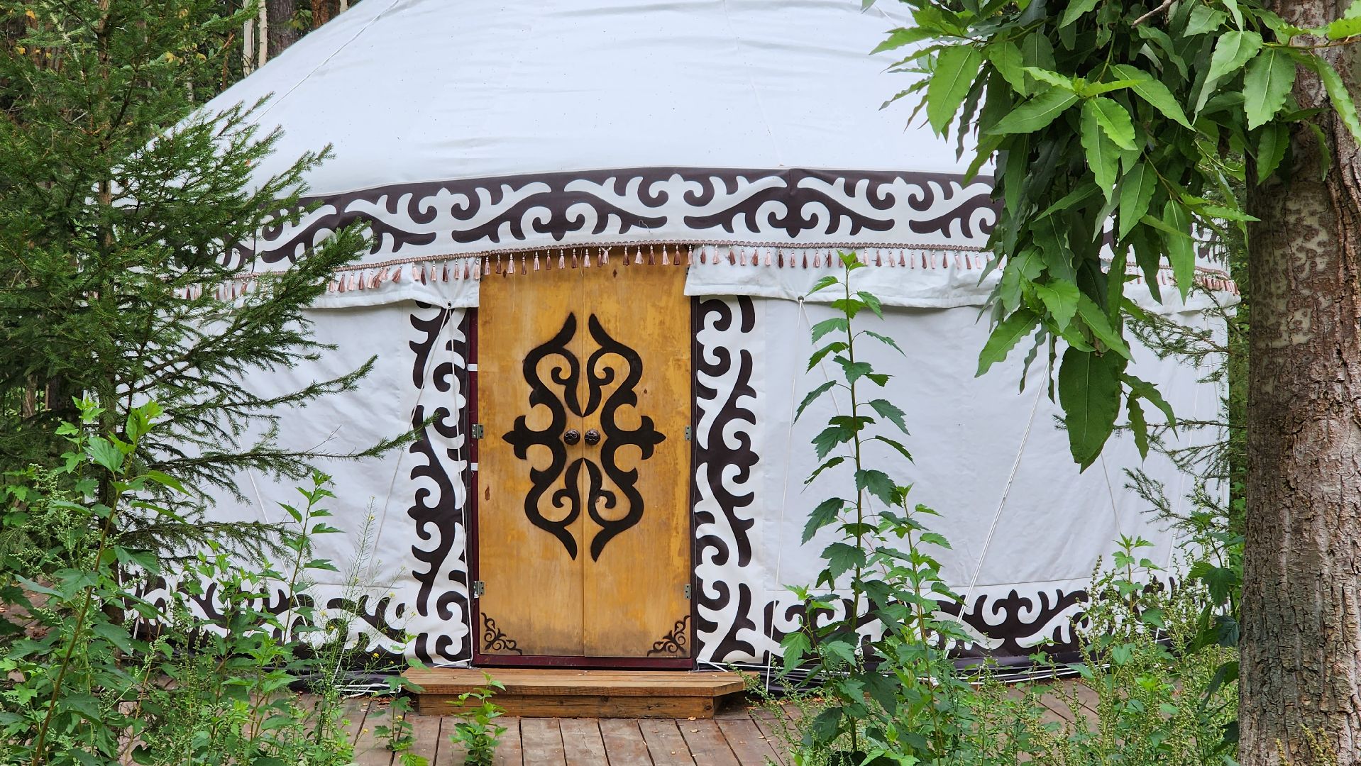 Егорьевск, Подмосковье, туризм, эко, эко-отель, глемпинг, хоббит, эльф, рыцарь, фея, варвар