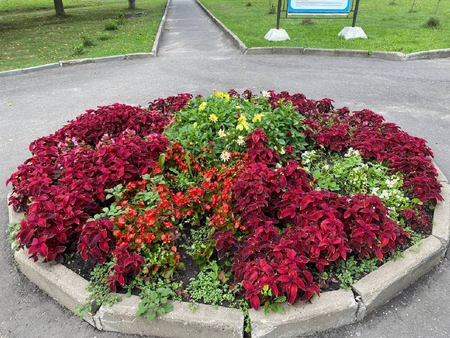 Чехов, благоустройство, клумбы, цветники, уход