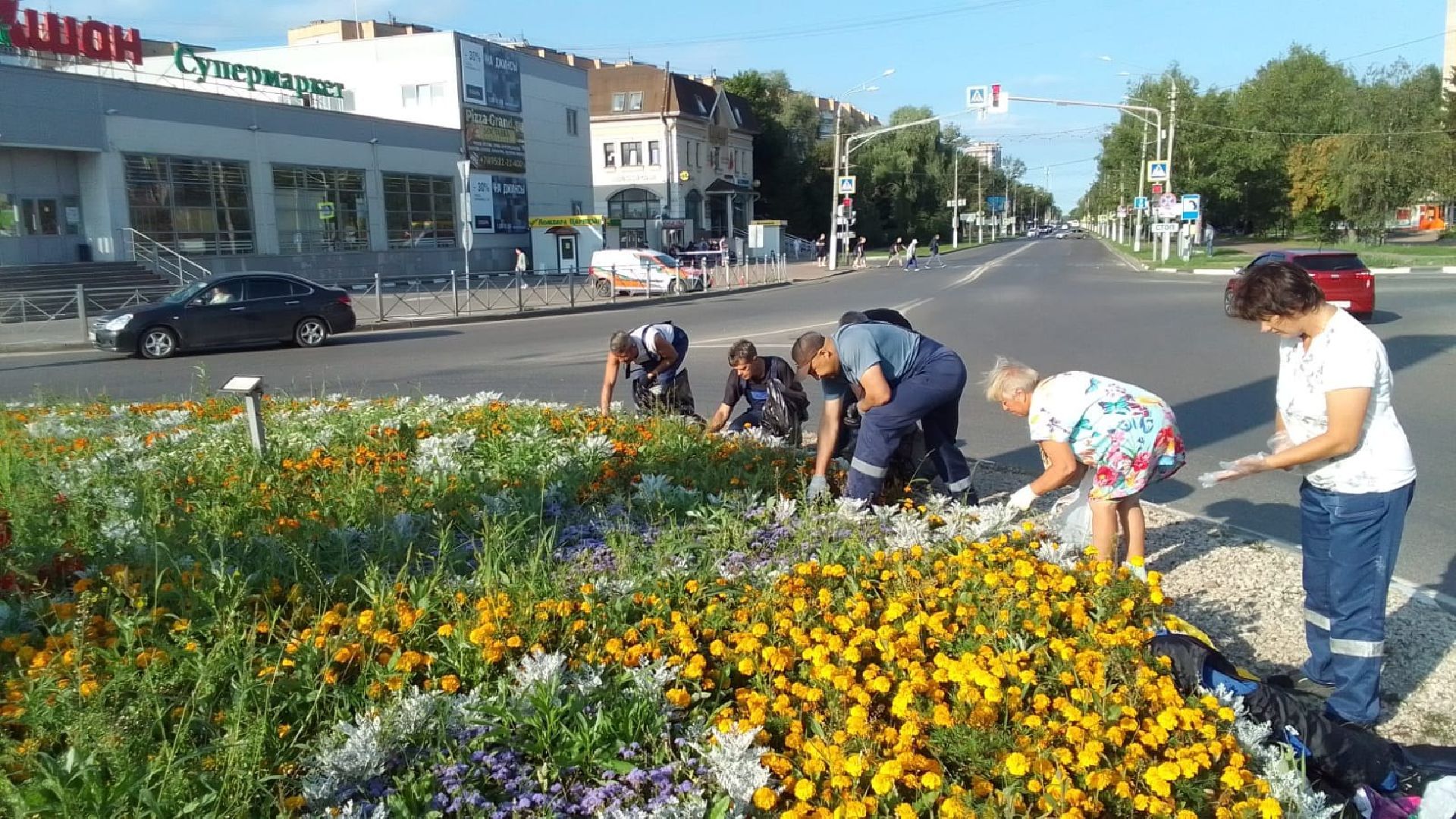 Чехов, благоустройство, клумбы, цветники, уход