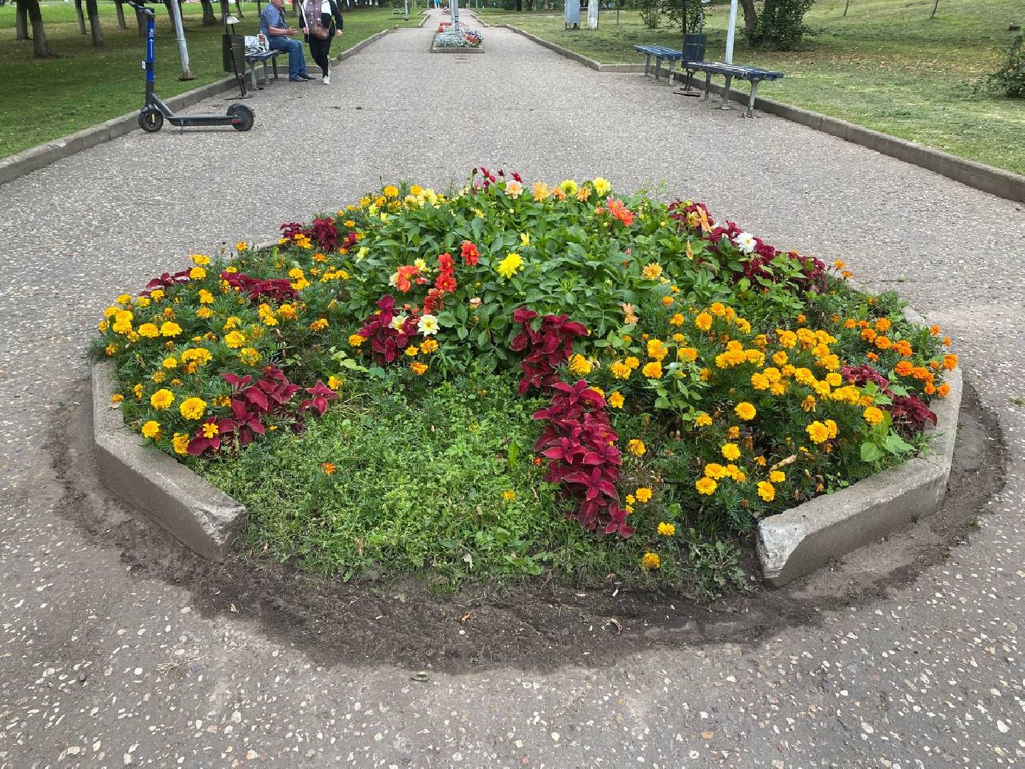 Чехов, благоустройство, клумбы, цветники, уход