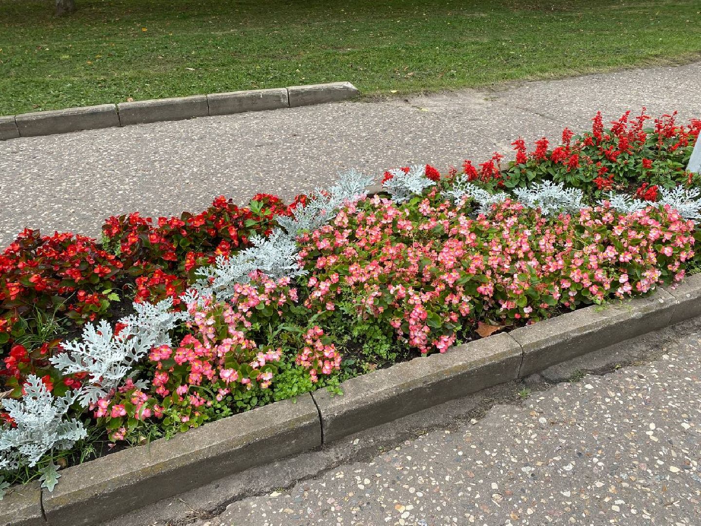 Чехов, благоустройство, клумбы, цветники, уход