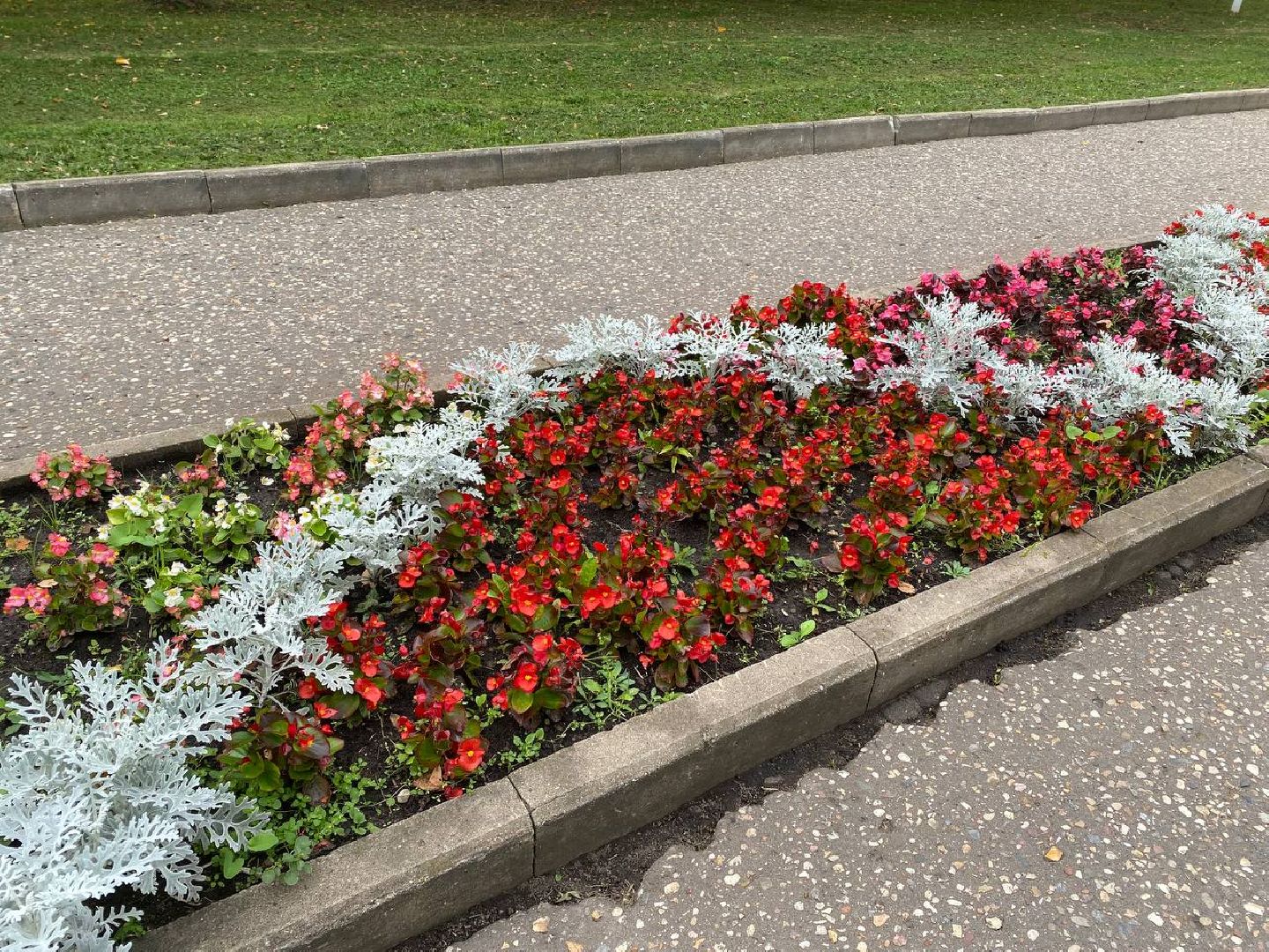 Чехов, благоустройство, клумбы, цветники, уход