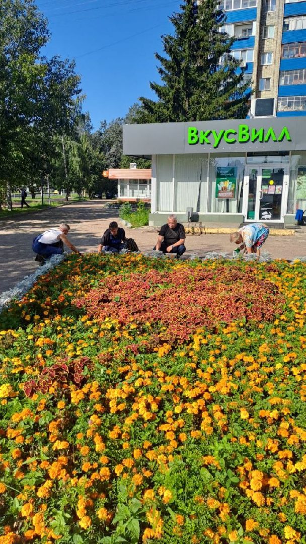 Чехов, благоустройство, клумбы, цветники, уход