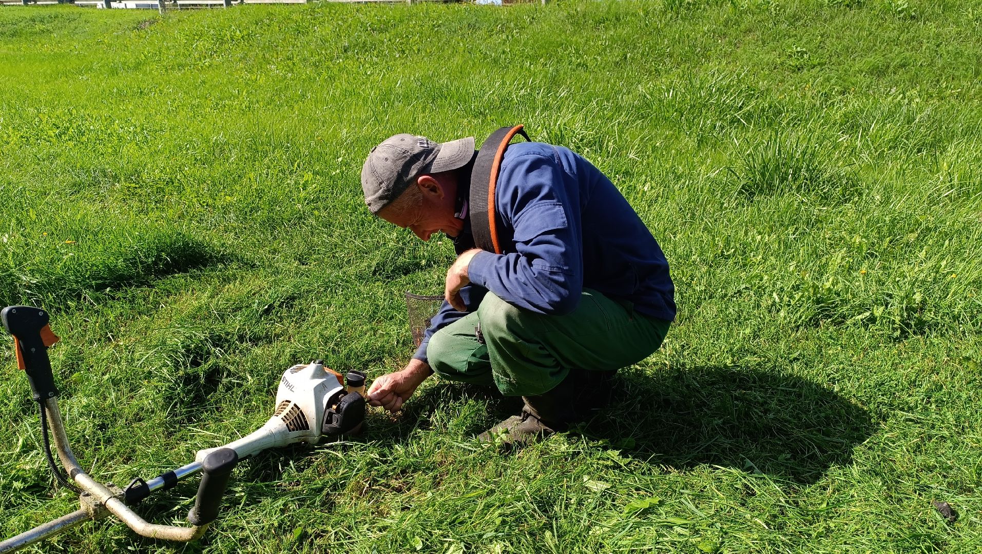 Лобня, благоустройство, трава