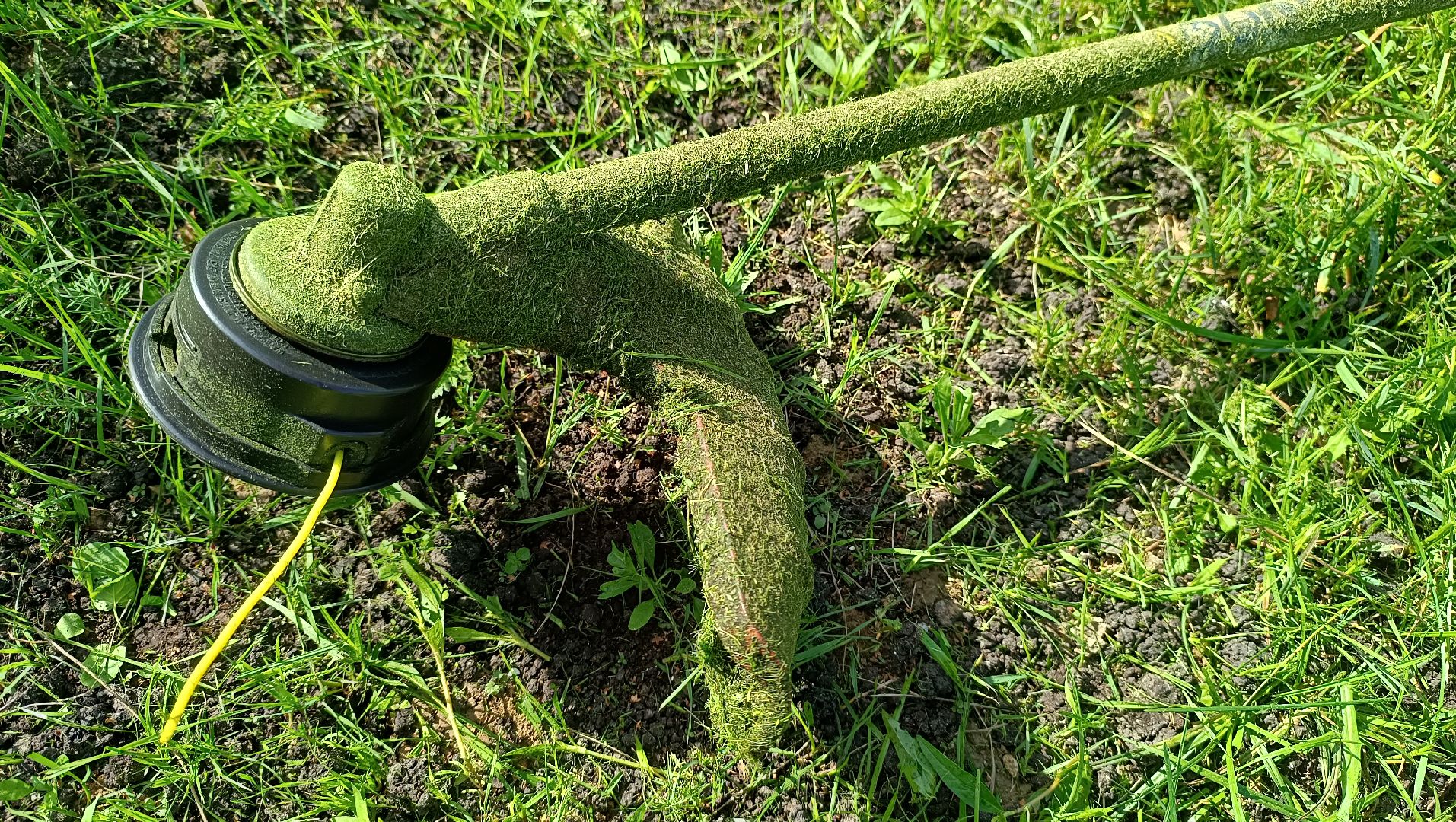 Лобня, благоустройство, трава