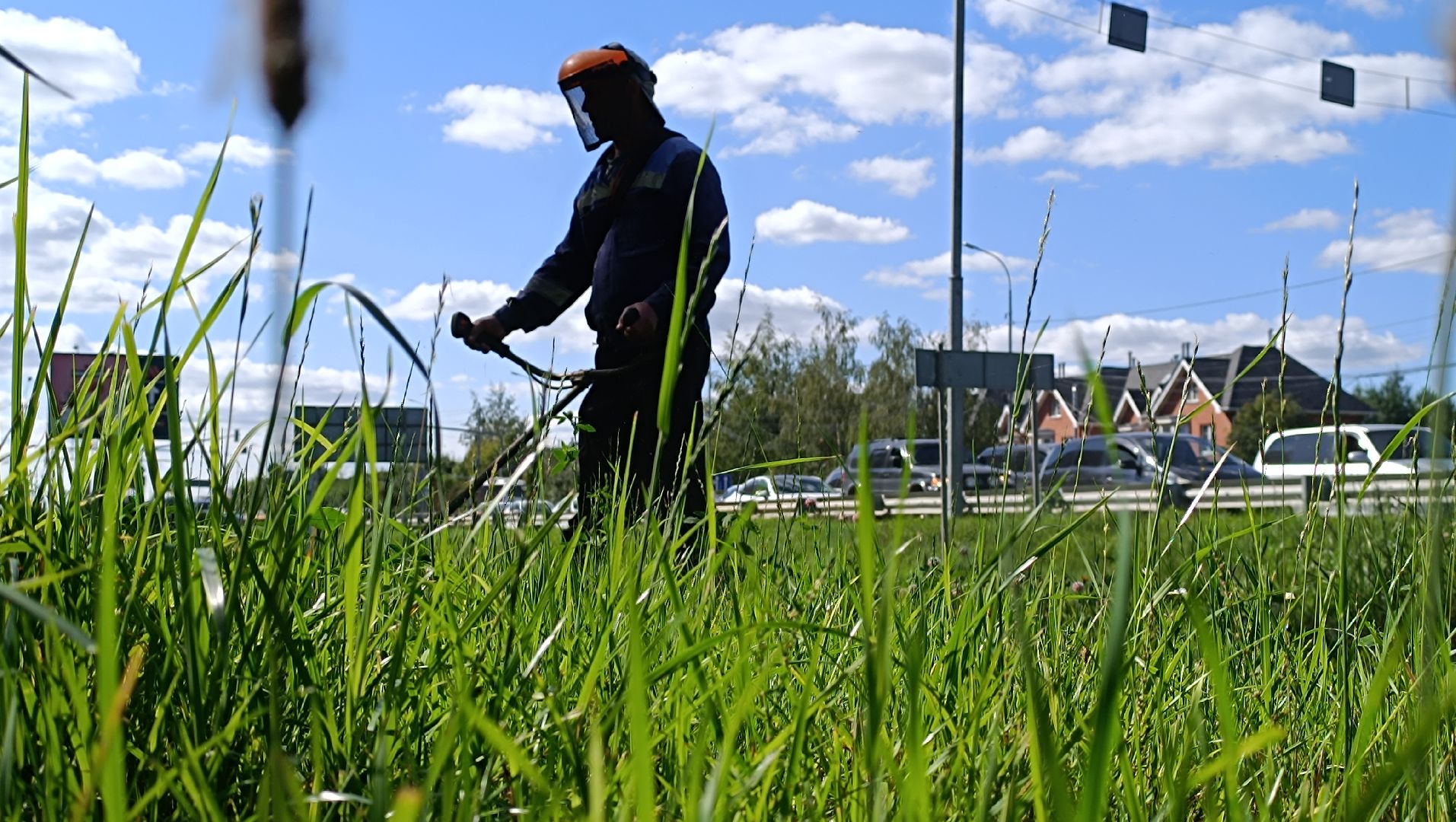 Лобня, благоустройство, трава