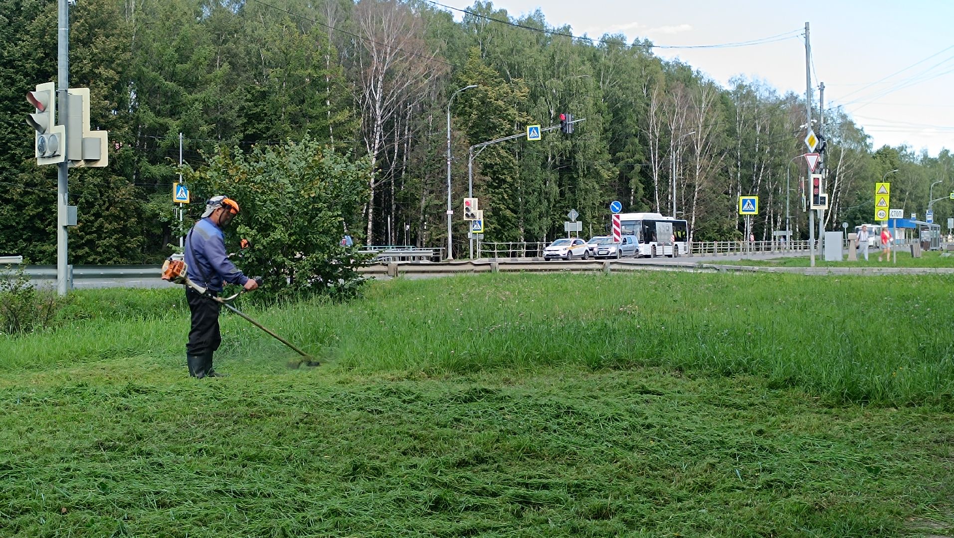 Лобня, благоустройство, трава