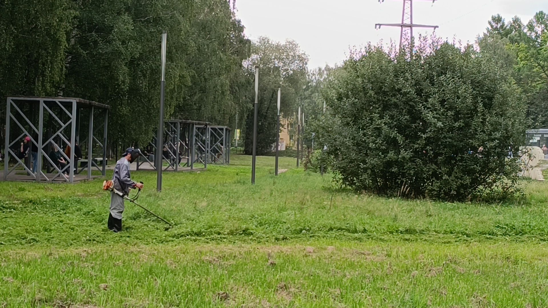 Лобня, благоустройство, трава