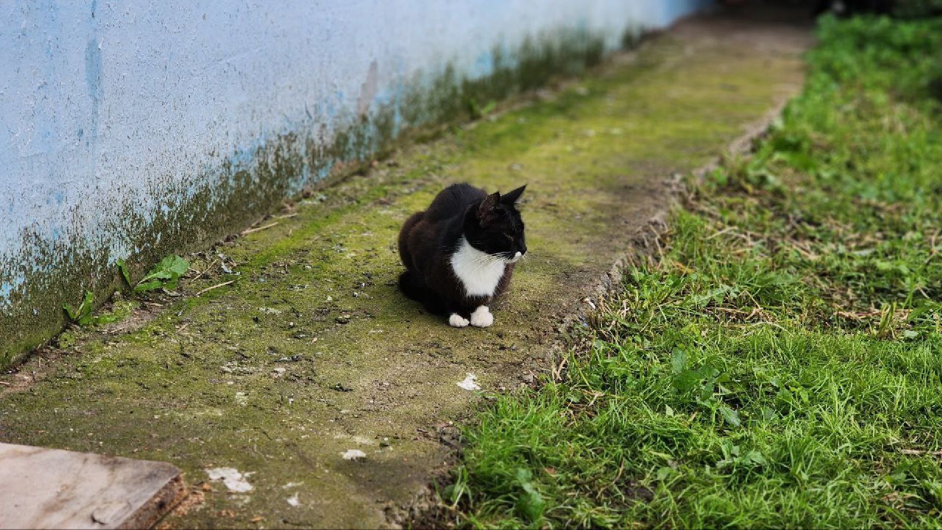 Дмитров, Ремонт подъездов, Мин ЖКХ
