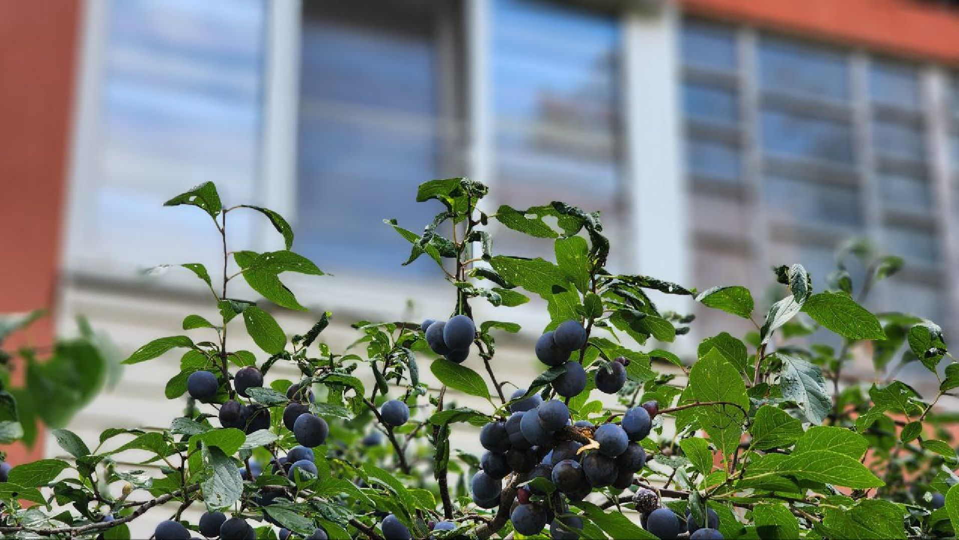 Дмитров, Ремонт подъездов, Мин ЖКХ