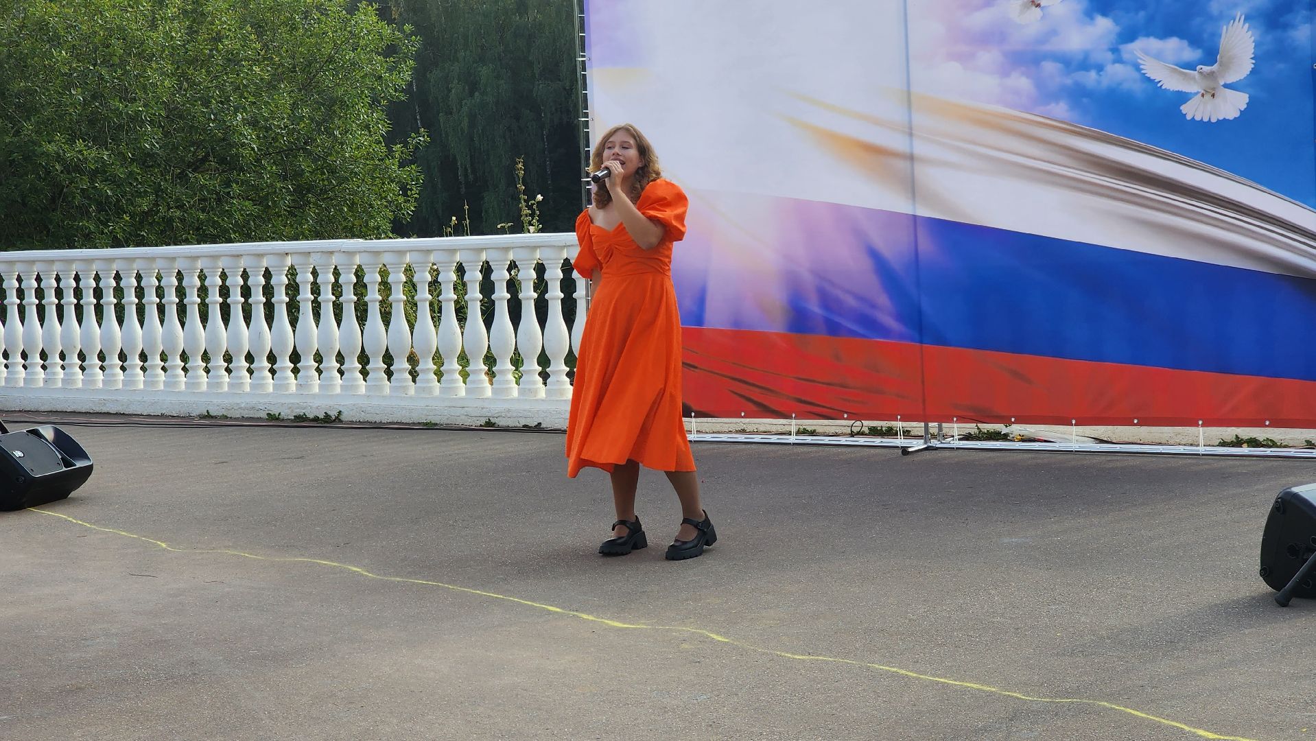 Долгопрудный, День флага, артисты, спилс-карта, триколор