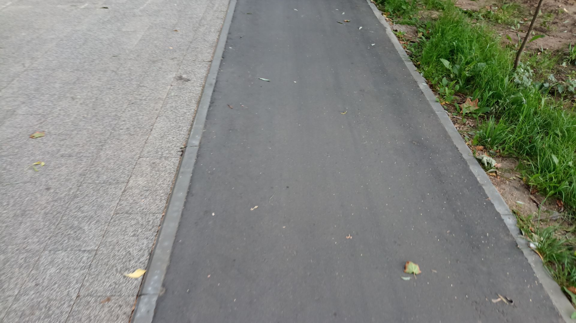 Реутов, благоустройство, МЦД-4, метро, поезда