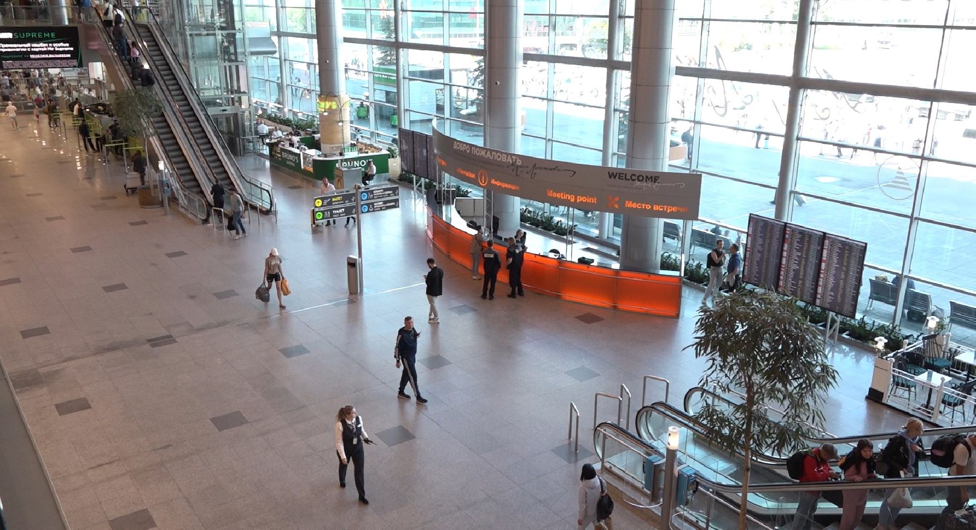 Ливрея самолёта, аэропорт Домодедово