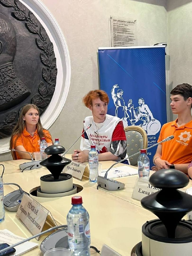 Солнечногорск, волонтеры, Подсолнух, конкурс, добрые дела