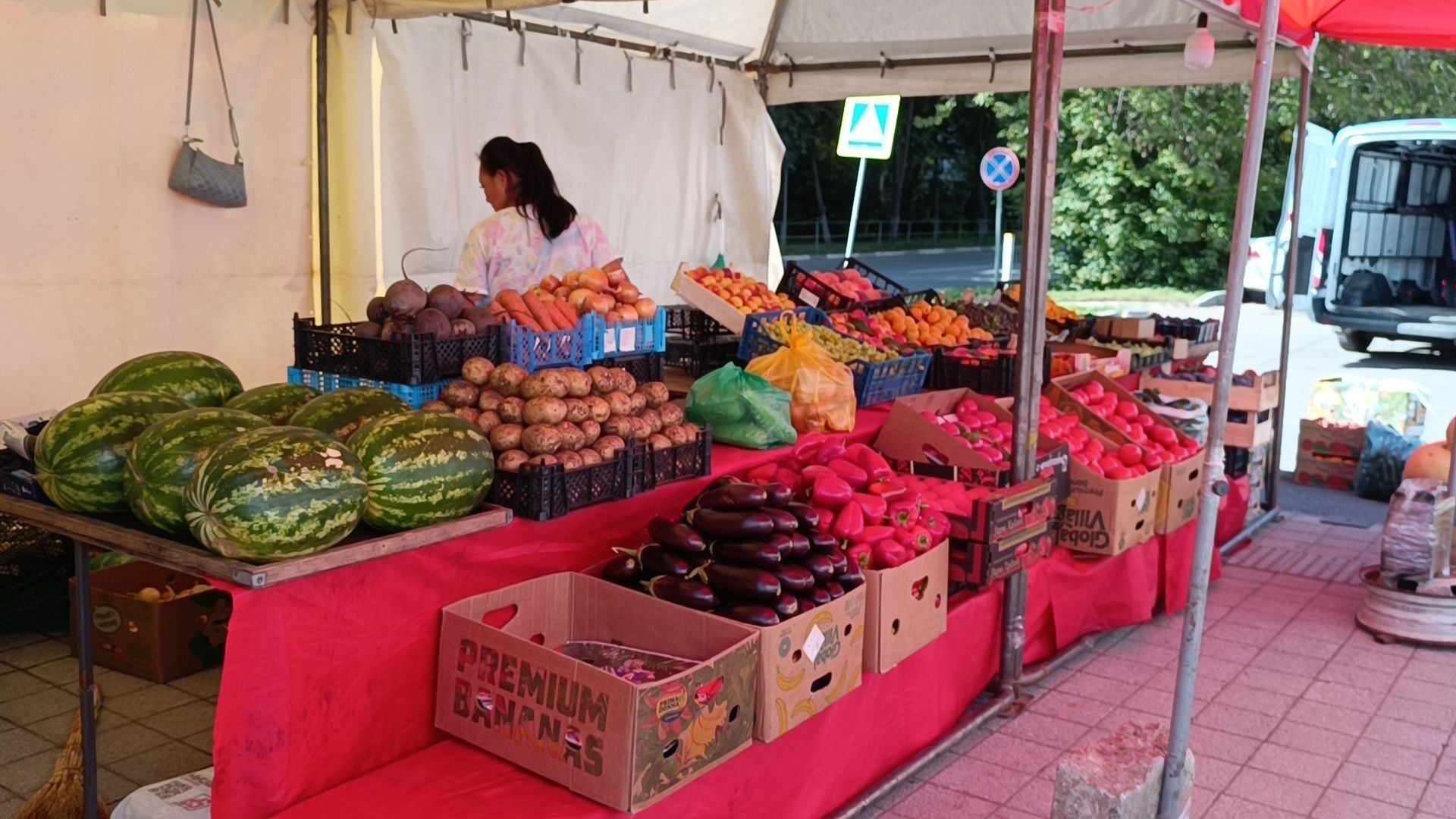 Лобня, ярмарка, мёд, картина