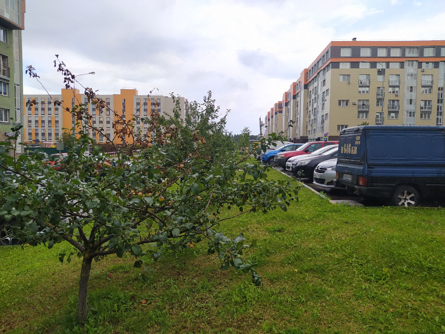 Нахабино, Красногорск, нападение, побои, ударил, ЧП