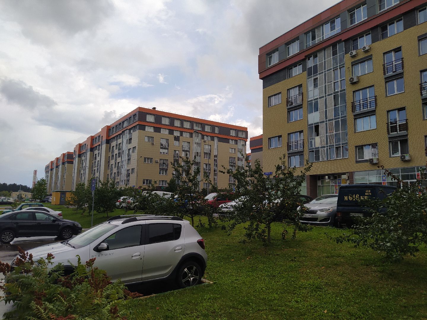 Нахабино, Красногорск, нападение, побои, ударил, ЧП