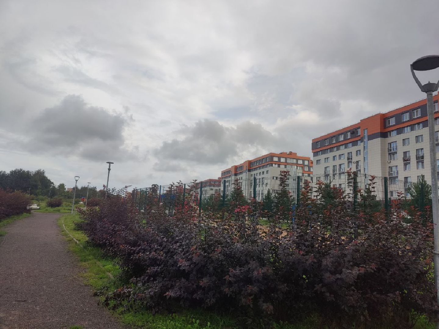 Нахабино, Красногорск, нападение, пробежка, женщина, удар, ЧП