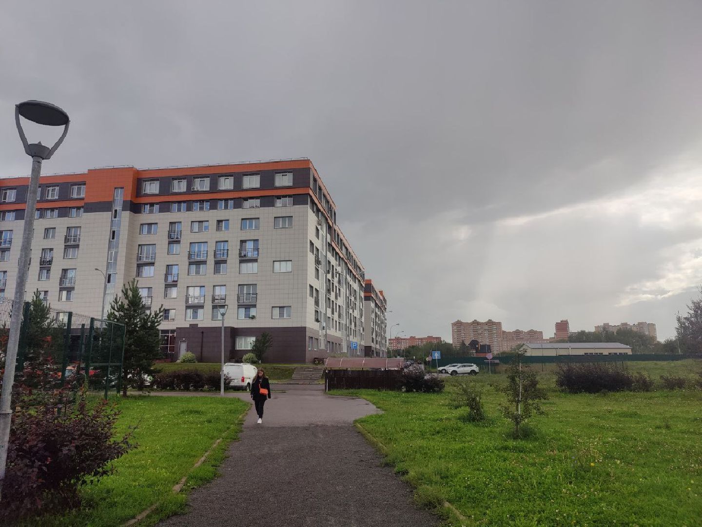 Нахабино, Красногорск, нападение, пробежка, женщина, удар, ЧП