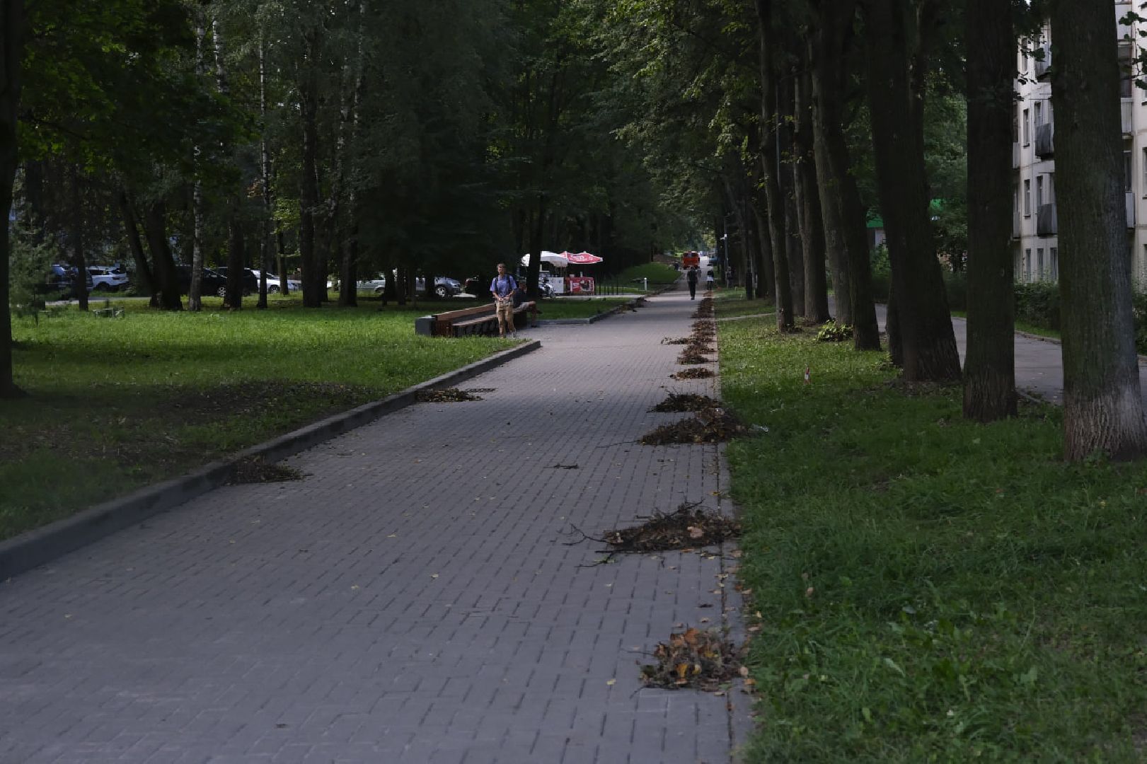 Пущино, благоустройство