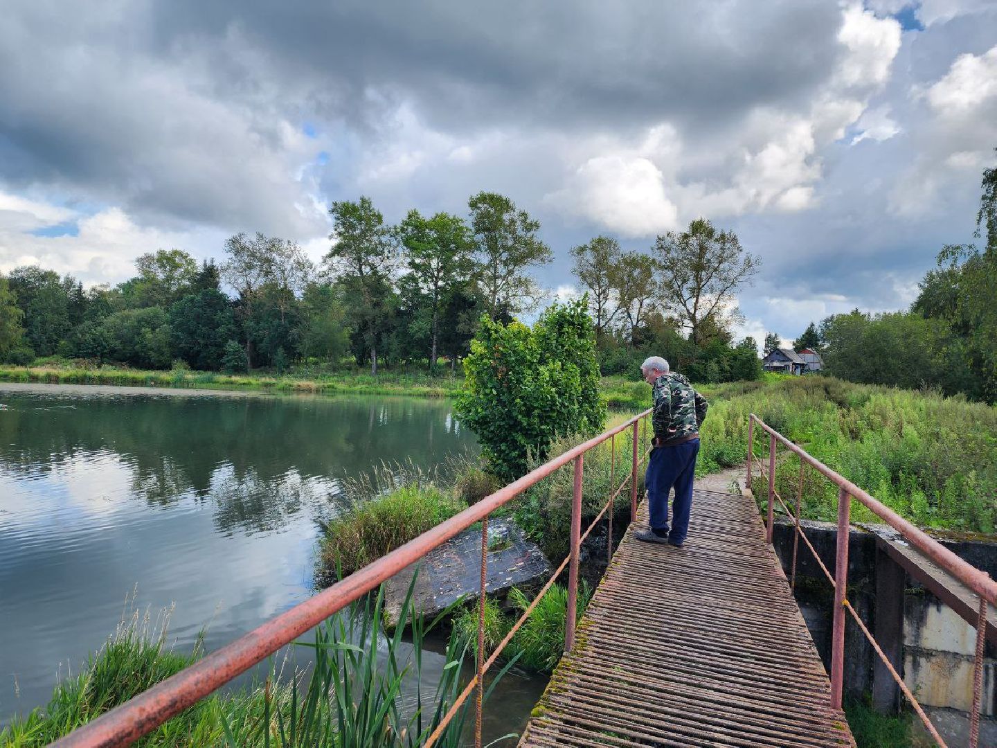 Пушкинский, экология, загрязнения воздуха, загрязнения воды, переработка,