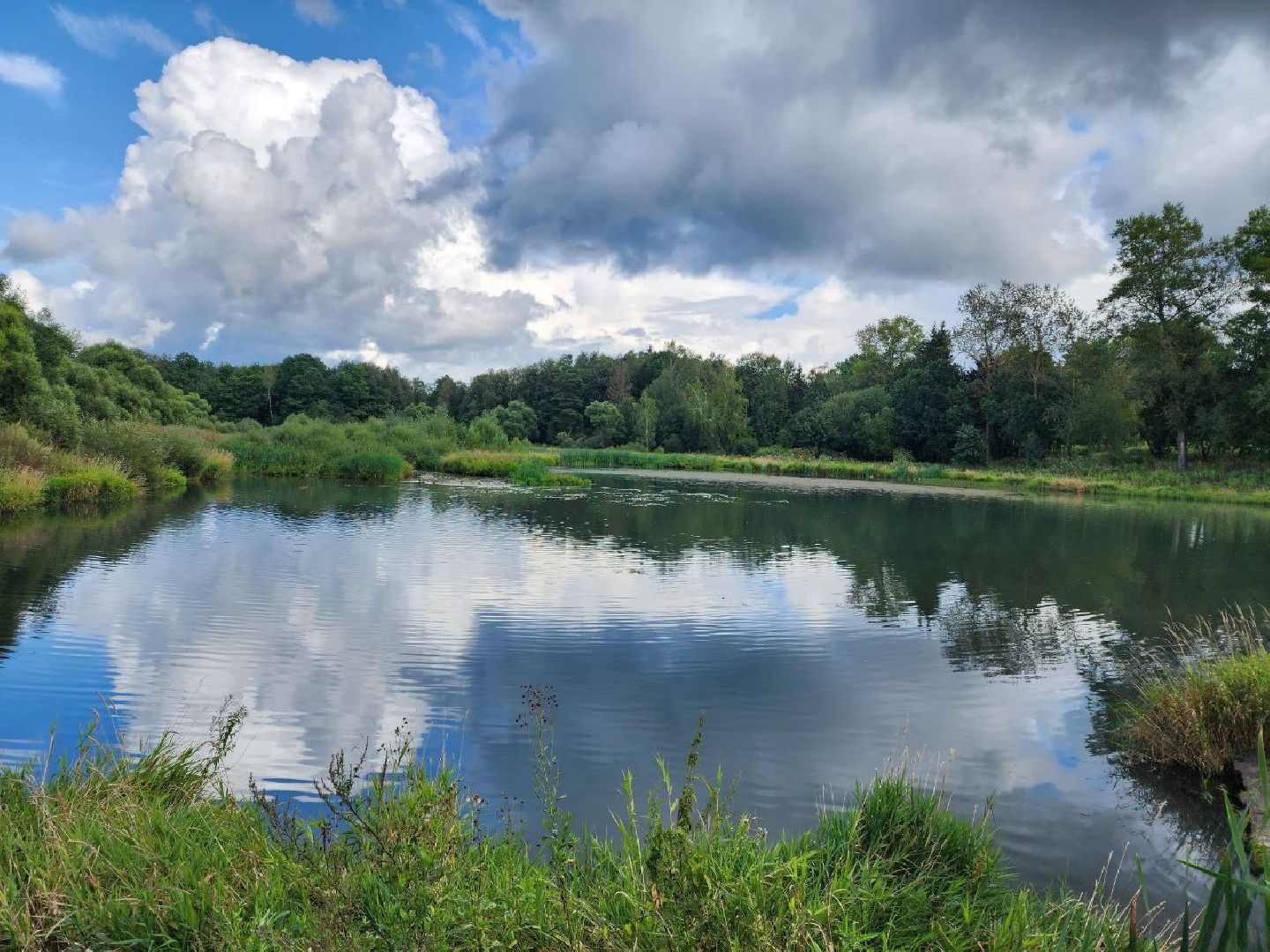Пушкинский, экология, загрязнения воздуха, загрязнения воды, переработка,