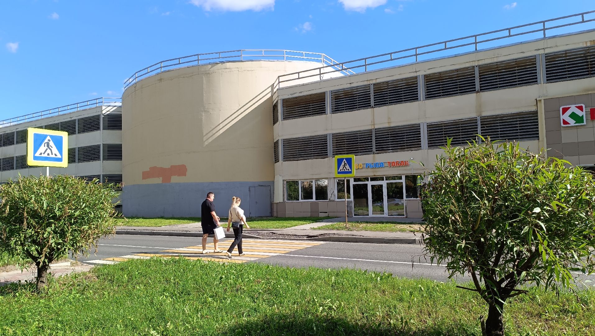 Лобня, дорога, разметка