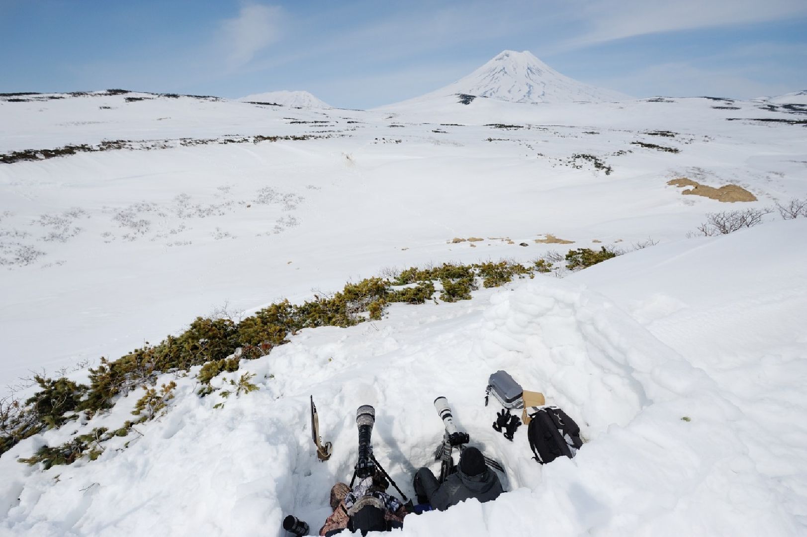 Пущино, экология