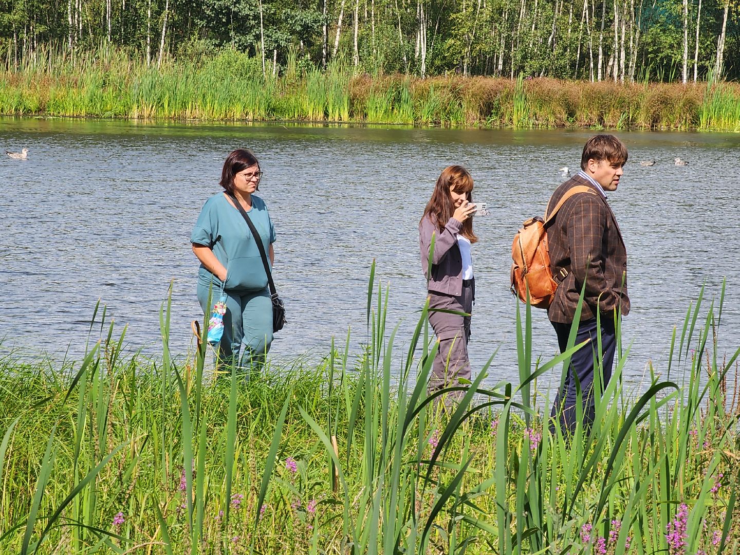 чп, пруд, оболенск, серпухов, гибель рыбы, рыба, водоем, экология, депутат,
