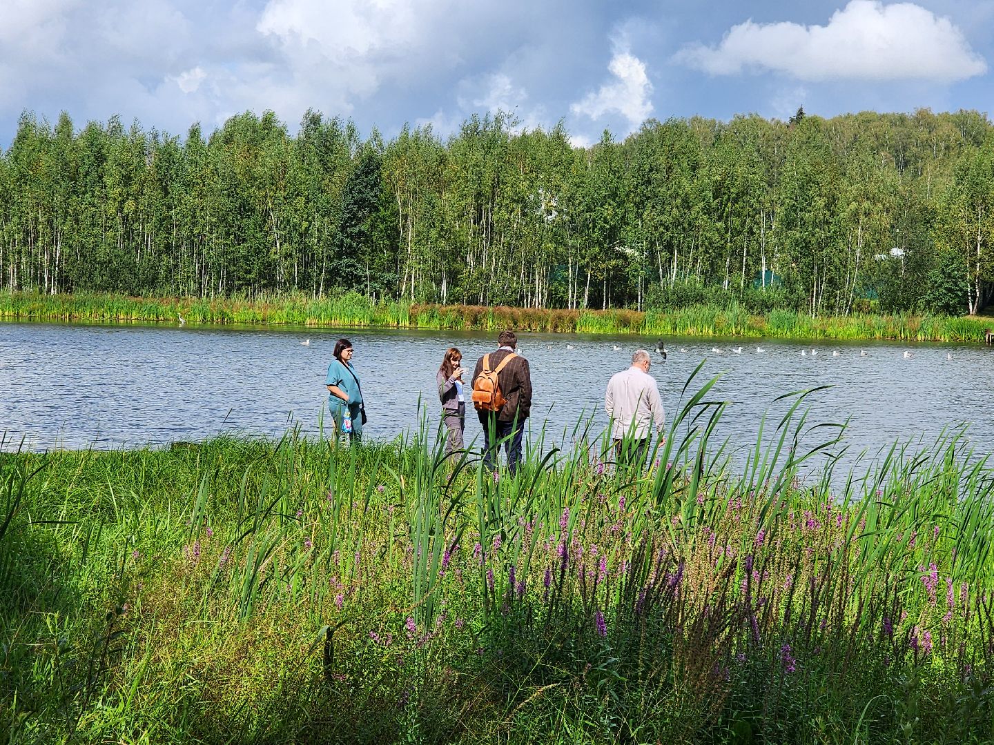 чп, пруд, оболенск, серпухов, гибель рыбы, рыба, водоем, экология, депутат,
