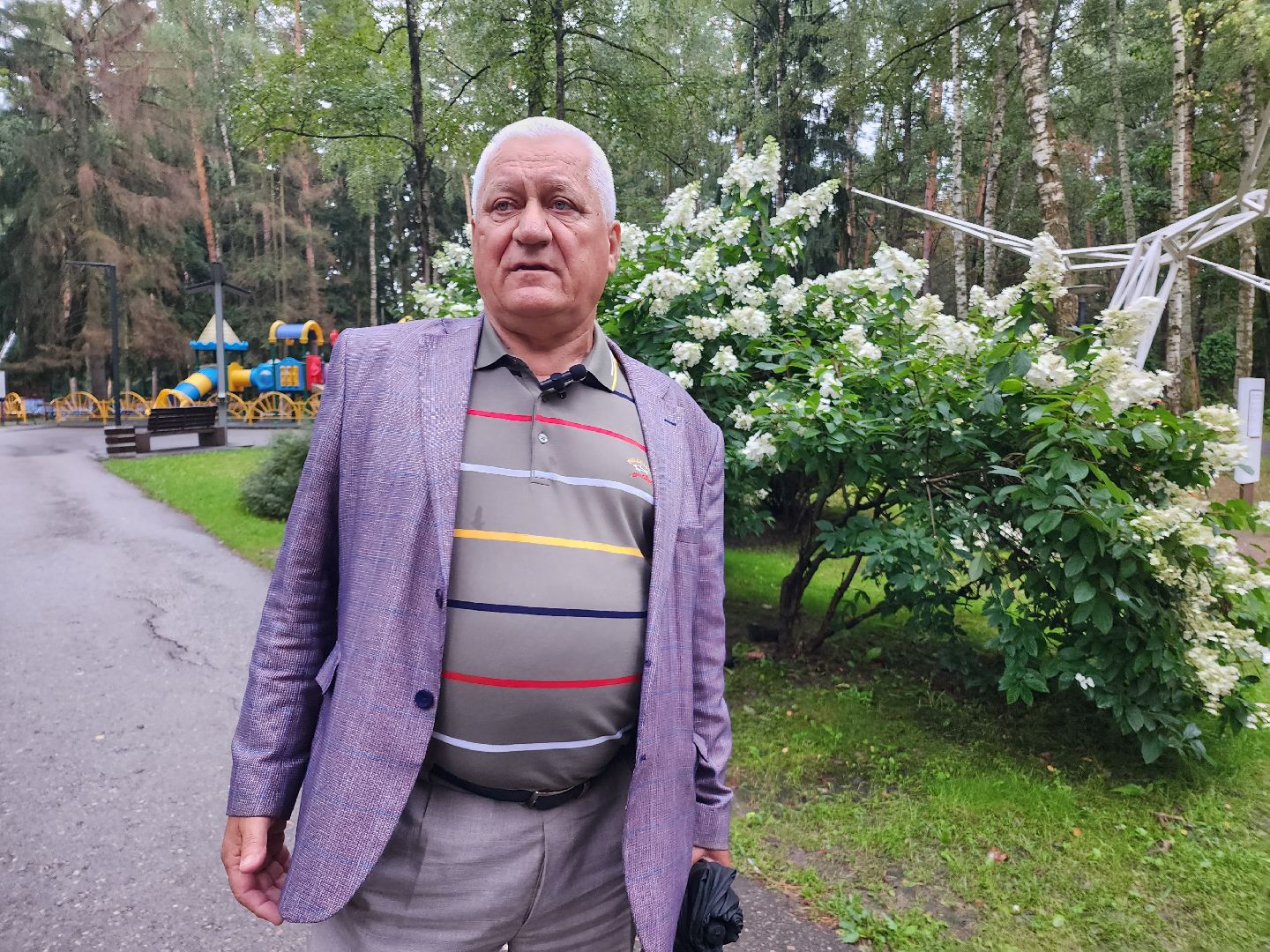 Домодедово, парки Подмосковья, народная стройка, парк Елочки, комсомольцы, партия, ДЦ Модуль, активисты, волонтеры