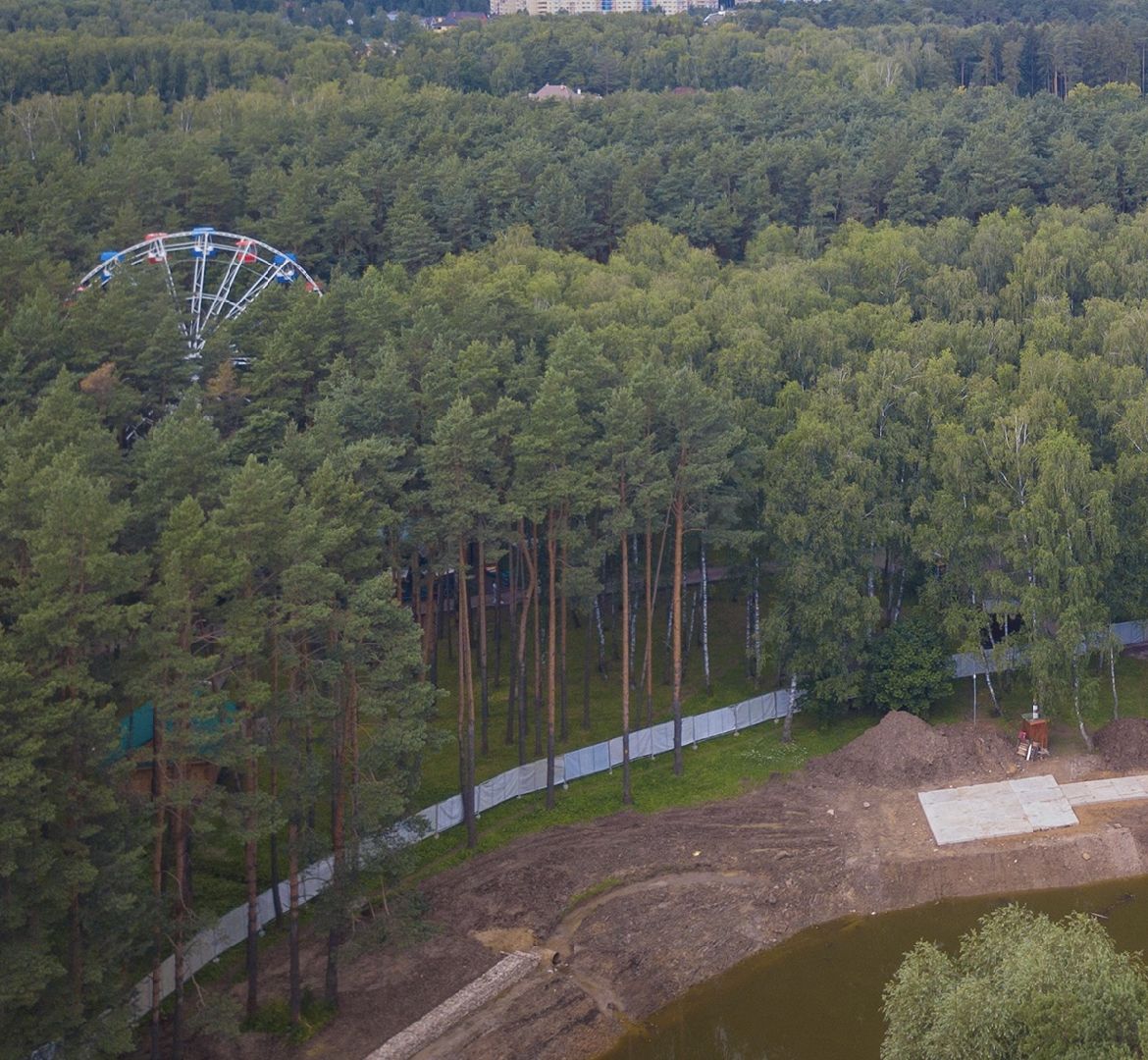 Домодедово, парки Подмосковья, народная стройка, парк Елочки, комсомольцы, партия, ДЦ Модуль, активисты, волонтеры