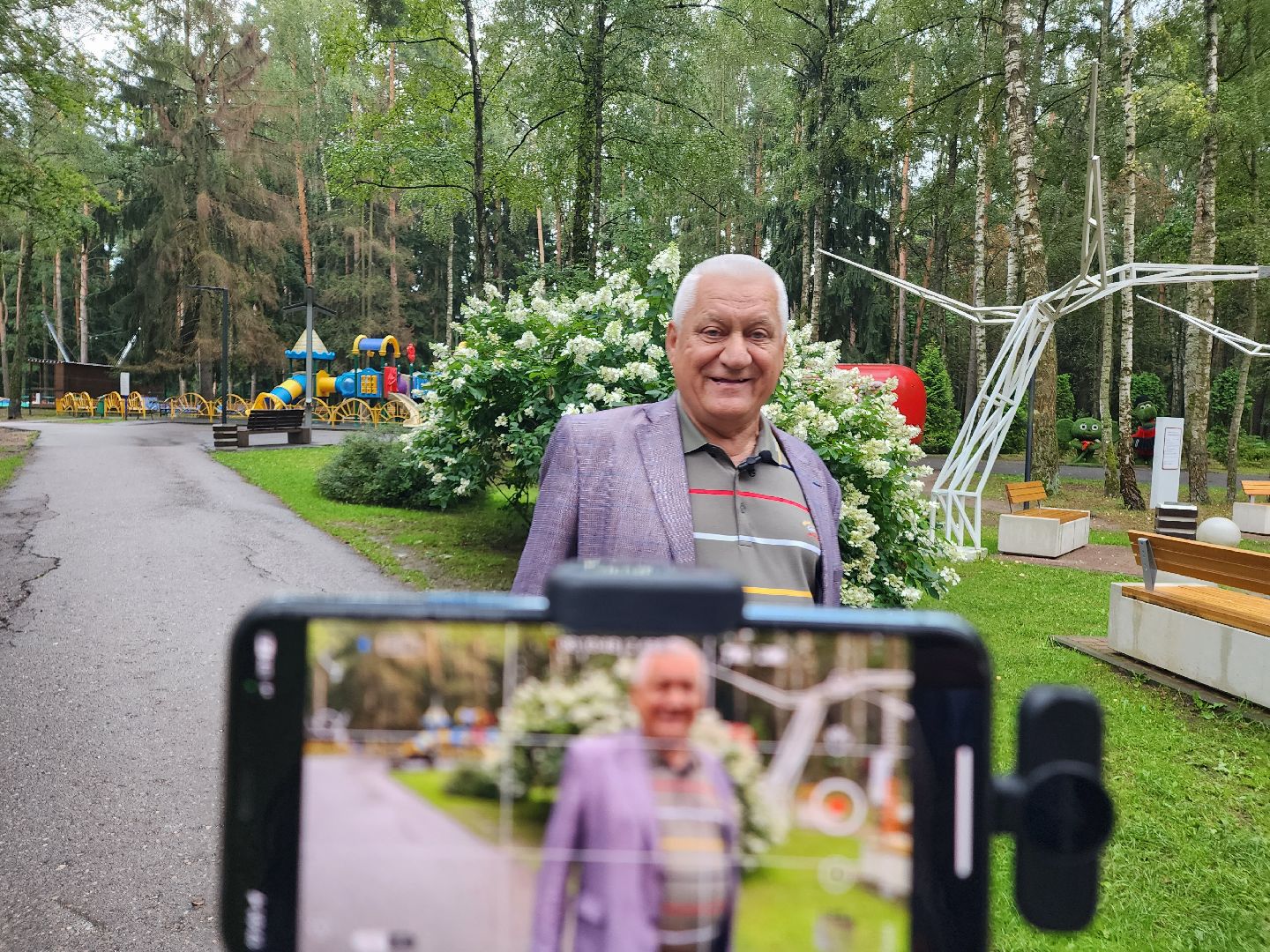 Домодедово, парки Подмосковья, народная стройка, парк Елочки, комсомольцы, партия, ДЦ Модуль, активисты, волонтеры