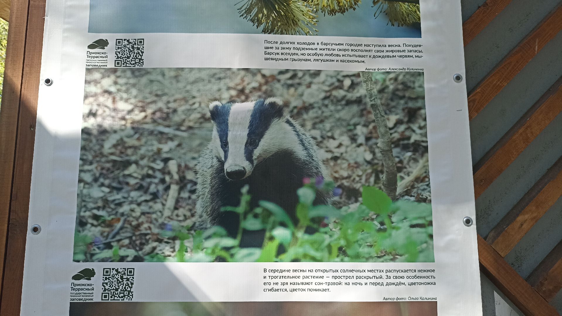 Серпухов, Подмосковье, парк, выставка, заповедник