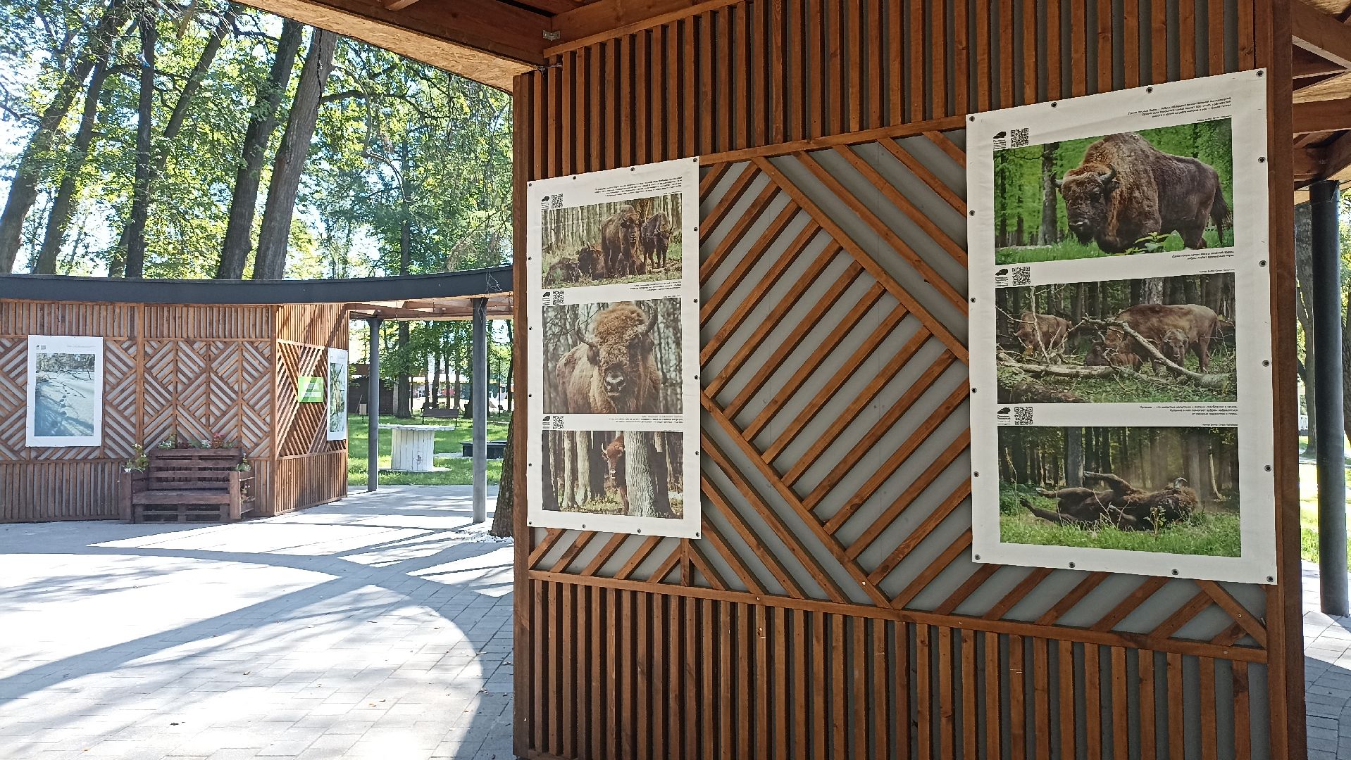 Серпухов, Подмосковье, парк, выставка, заповедник