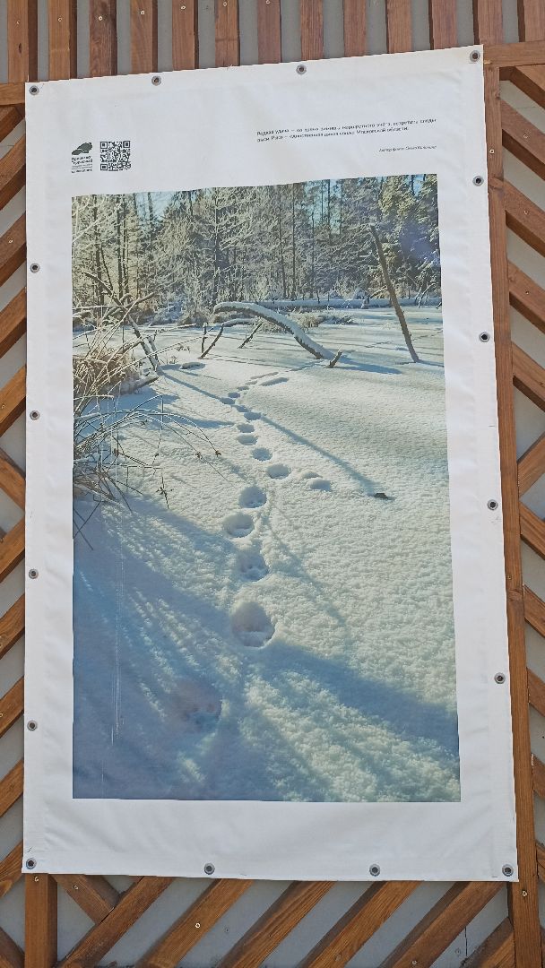 Серпухов, Подмосковье, парк, выставка, заповедник
