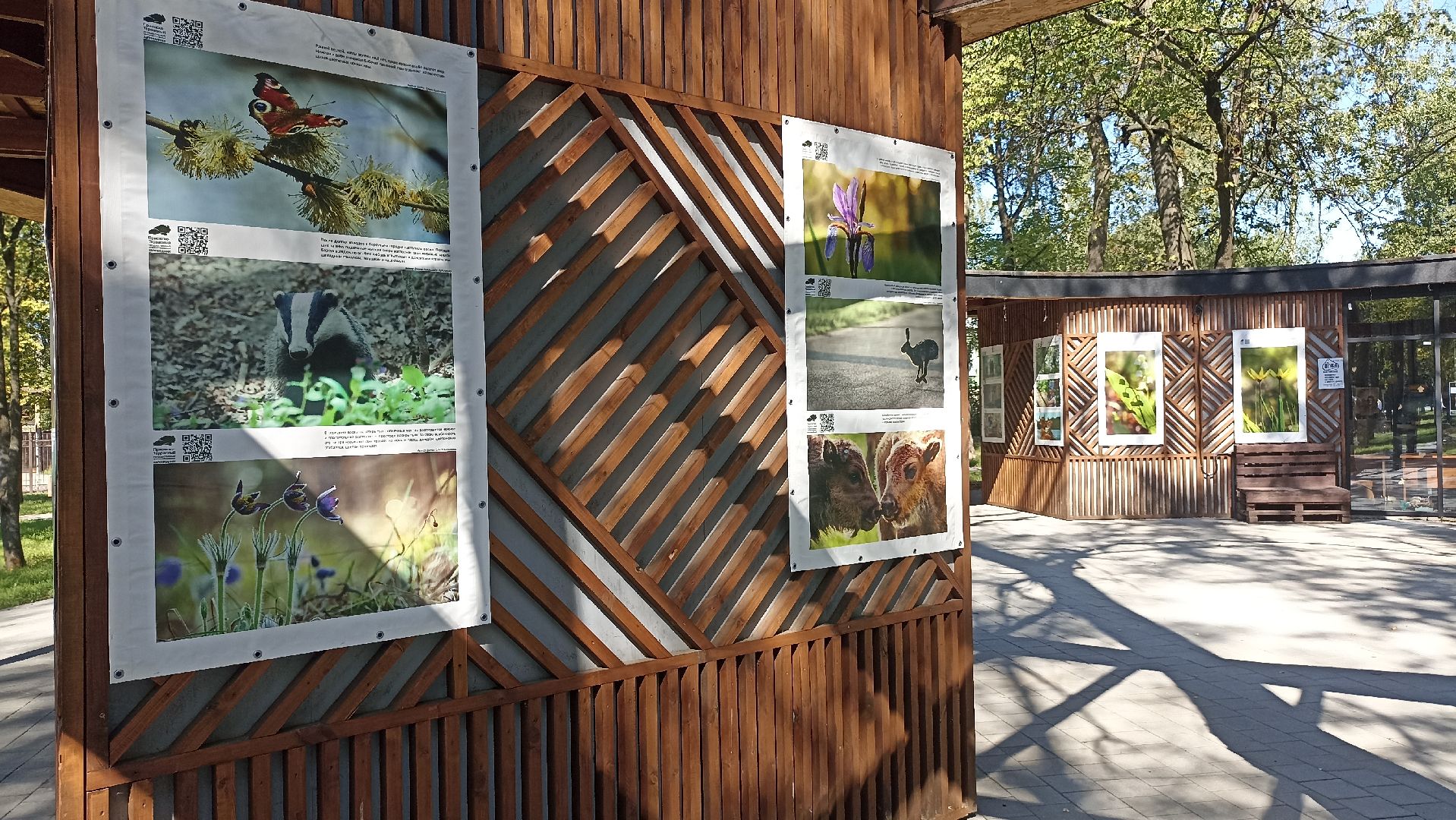 Серпухов, Подмосковье, парк, выставка, заповедник